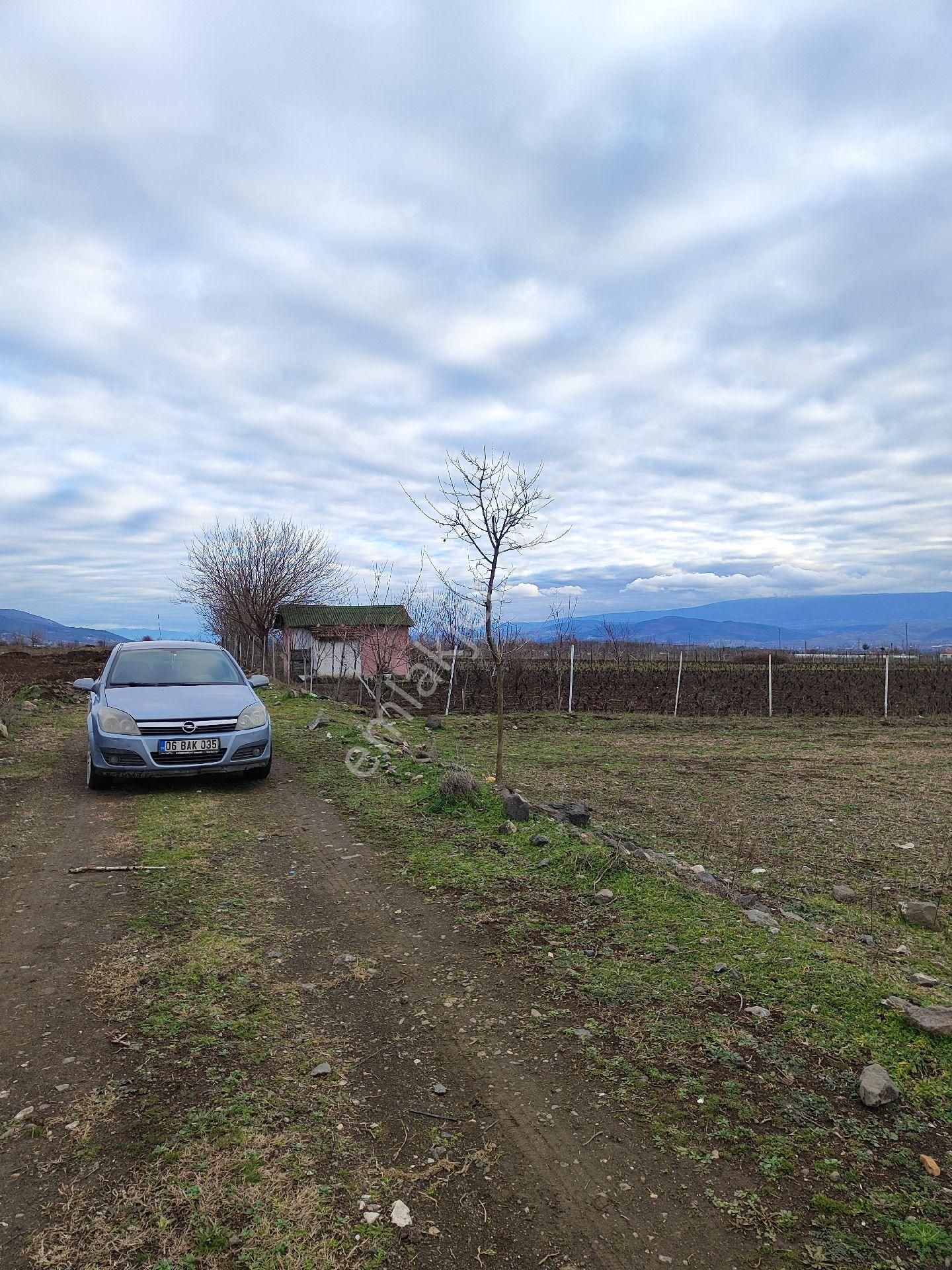 Satılık Tarla - Son Fiyattır - Görsel 5