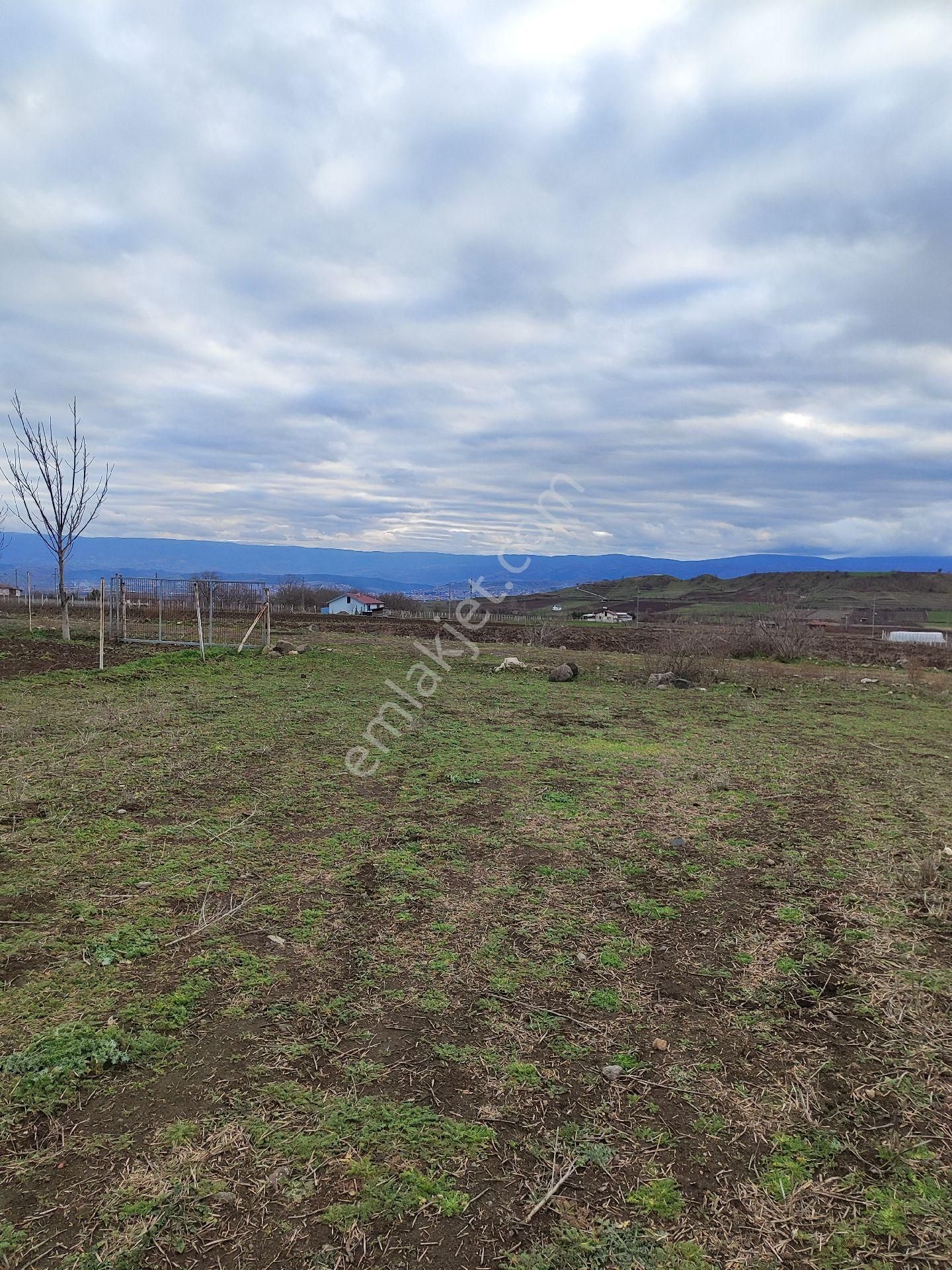 Satılık Tarla - Son Fiyattır - Görsel 16