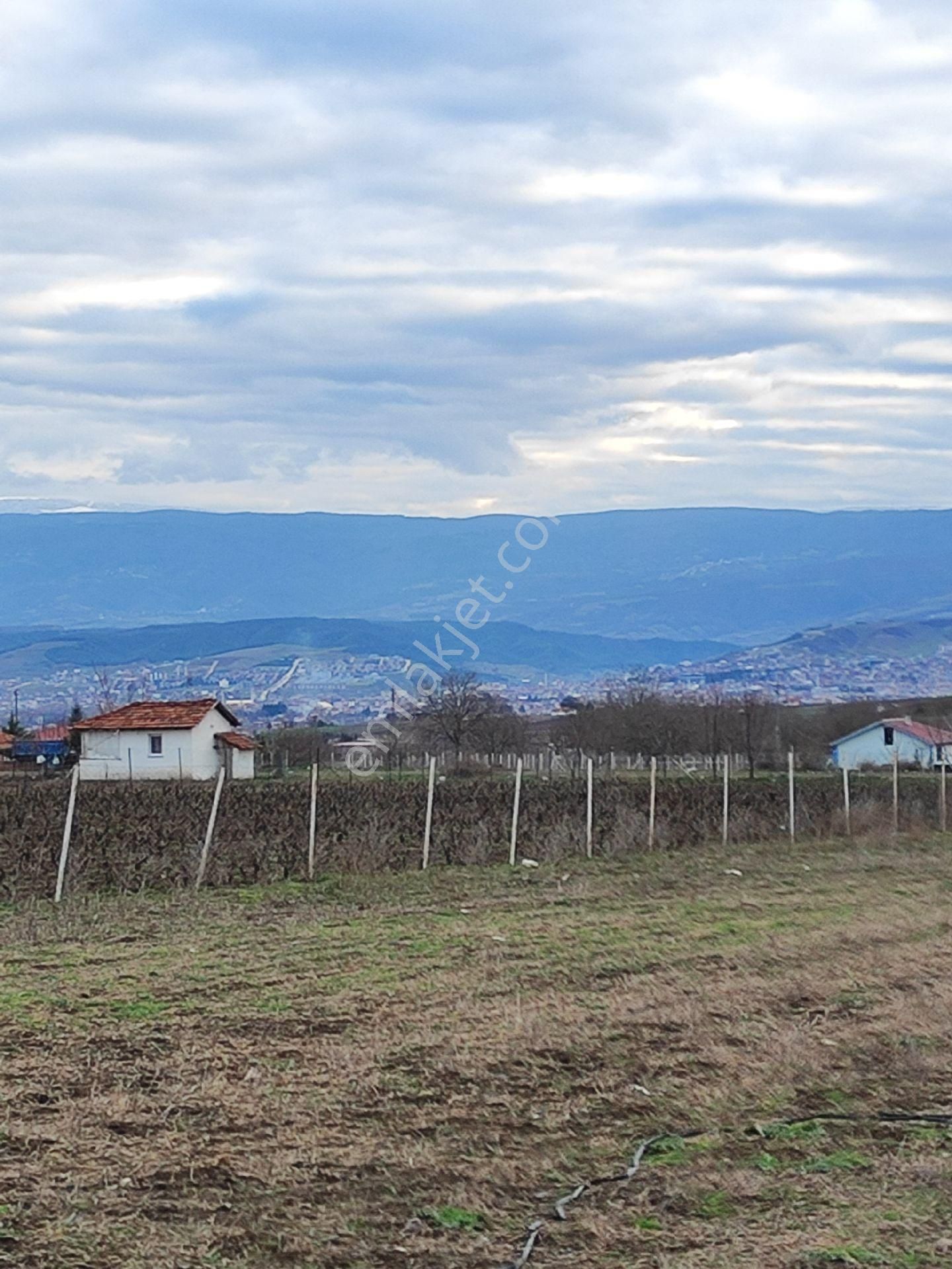 Satılık Tarla - Son Fiyattır - Görsel 6