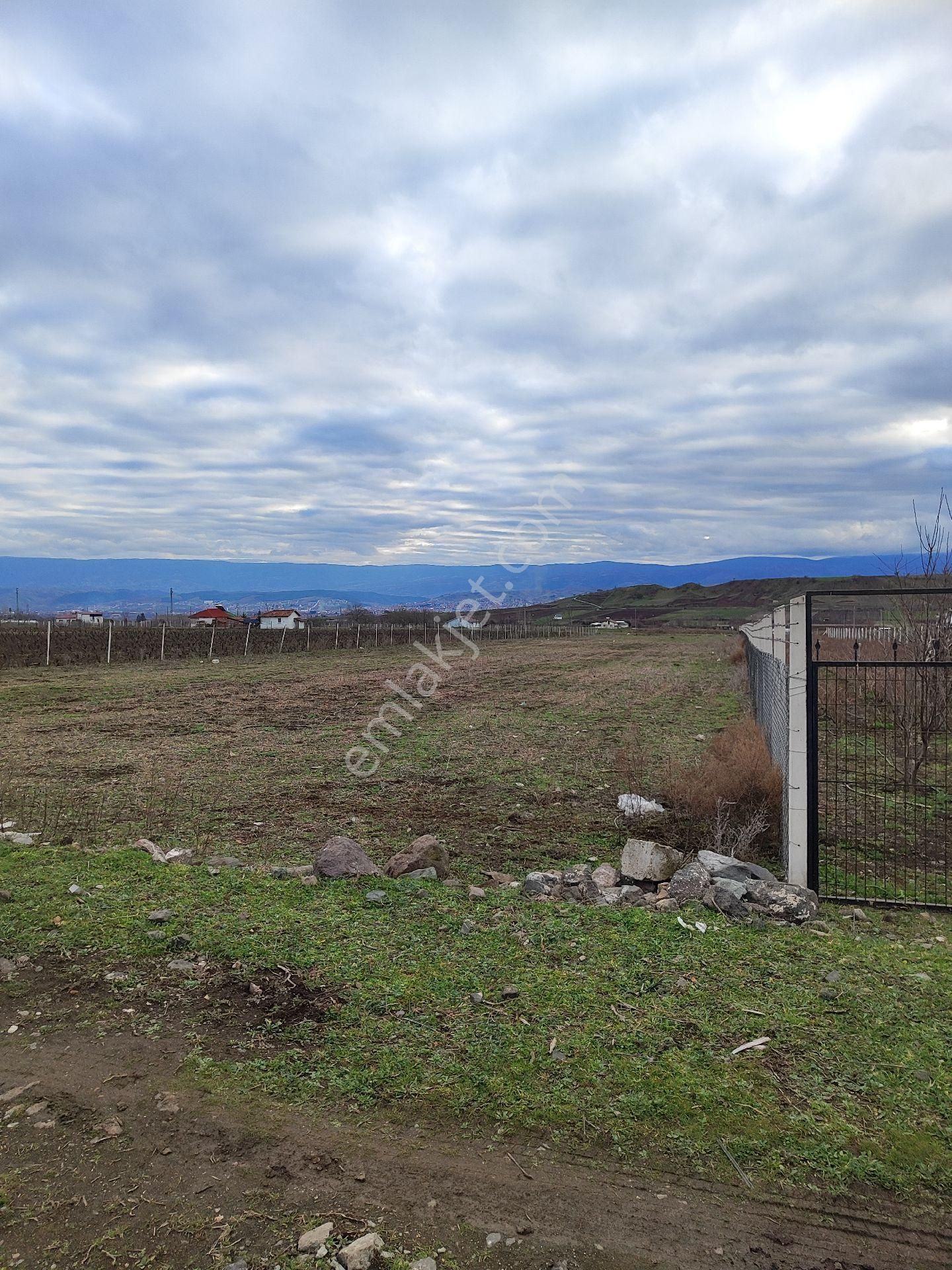 Satılık Tarla - Son Fiyattır - Görsel 2