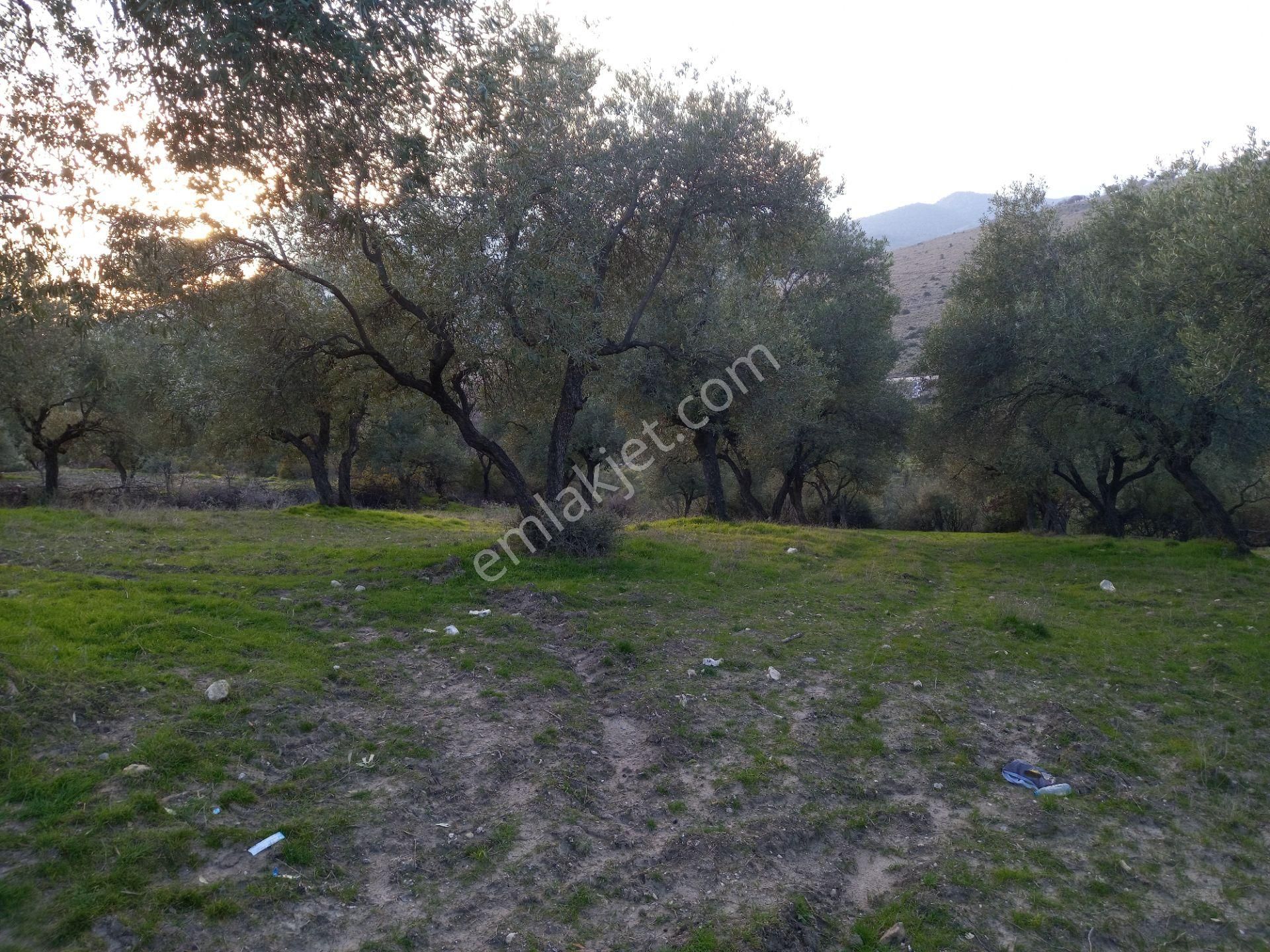 Manisa Kağan Da Satılık Harika Bir Yer Yaşan Alanına Uygun - Görsel 4