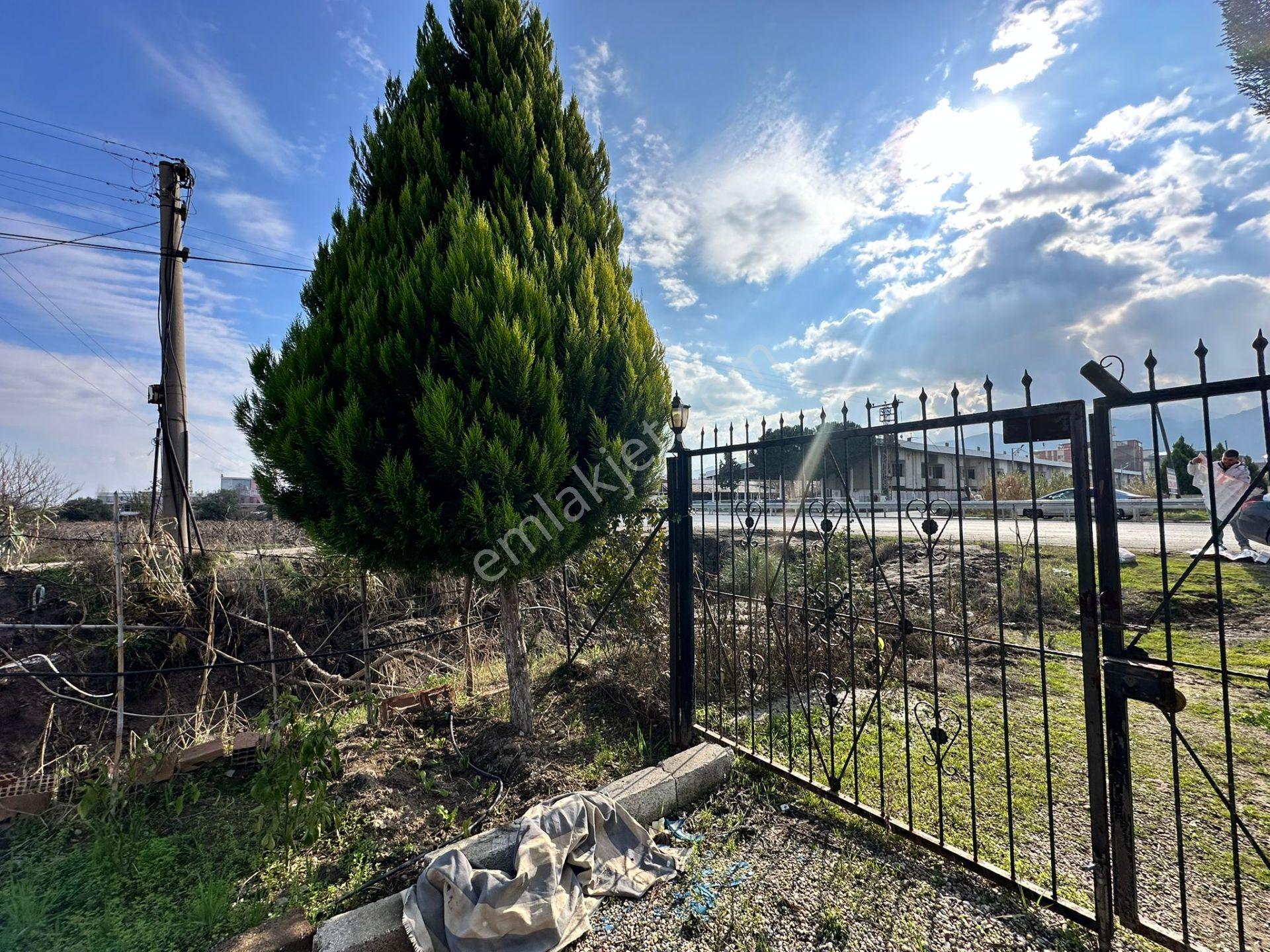 Alaşehir Girişi Denizli-izmir Asfalt Üzeri Kupon Arazi - Görsel 9