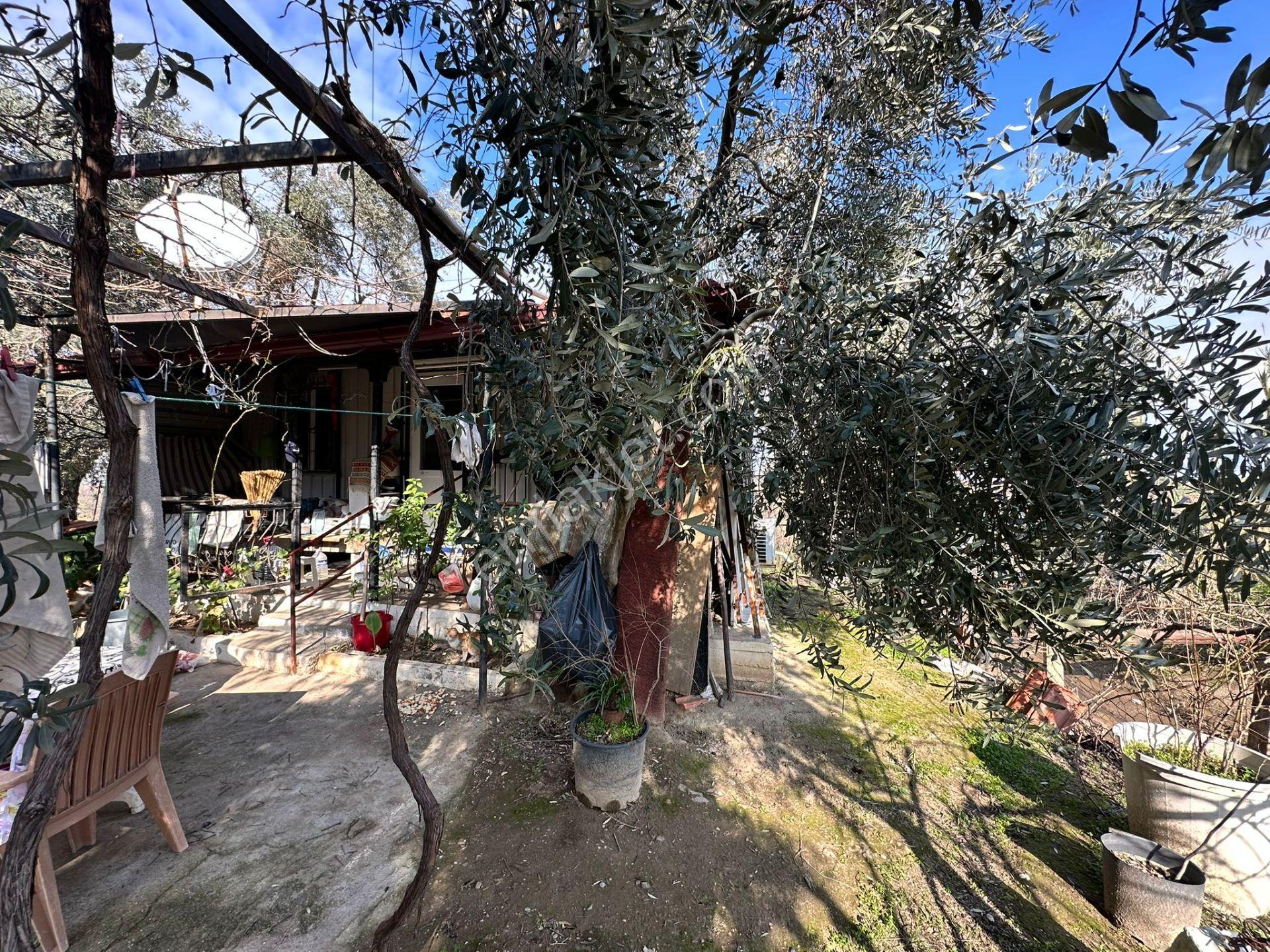 Alaşehir Girişi Denizli-izmir Asfalt Üzeri Kupon Arazi - Görsel 17