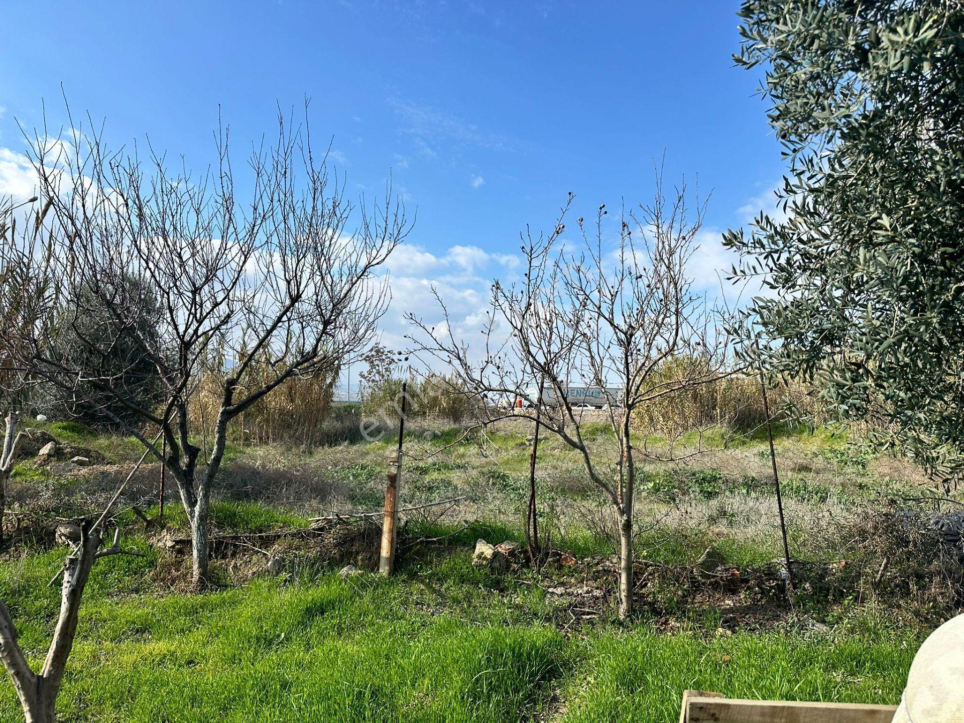 Alaşehir Girişi Denizli-izmir Asfalt Üzeri Kupon Arazi - Görsel 15