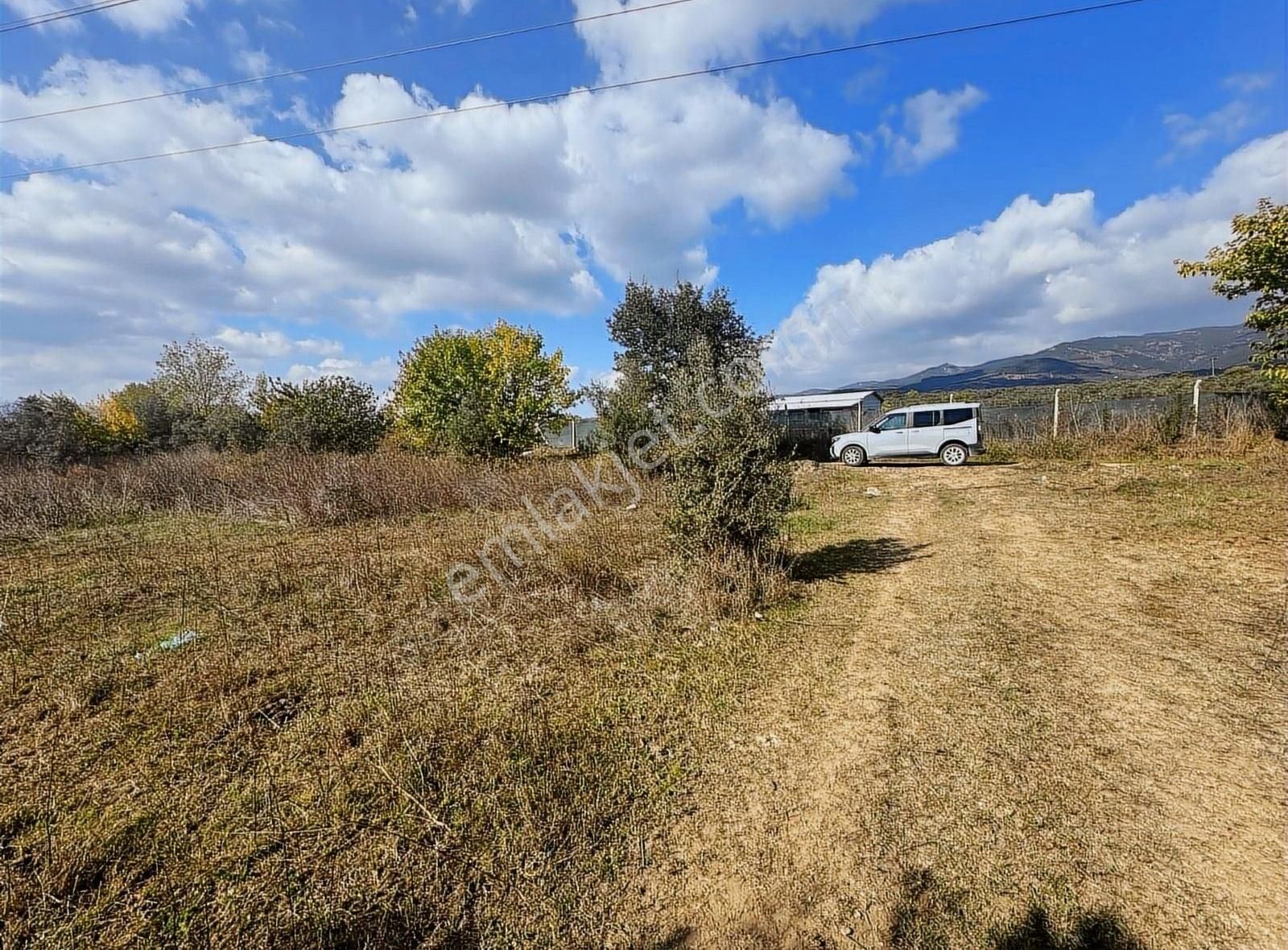 Orhangazi Yeniköy Satılık Tarla Bursa Emlak Alem-i Yeniköy De Yola Cepheli 1459 M2 Tarla