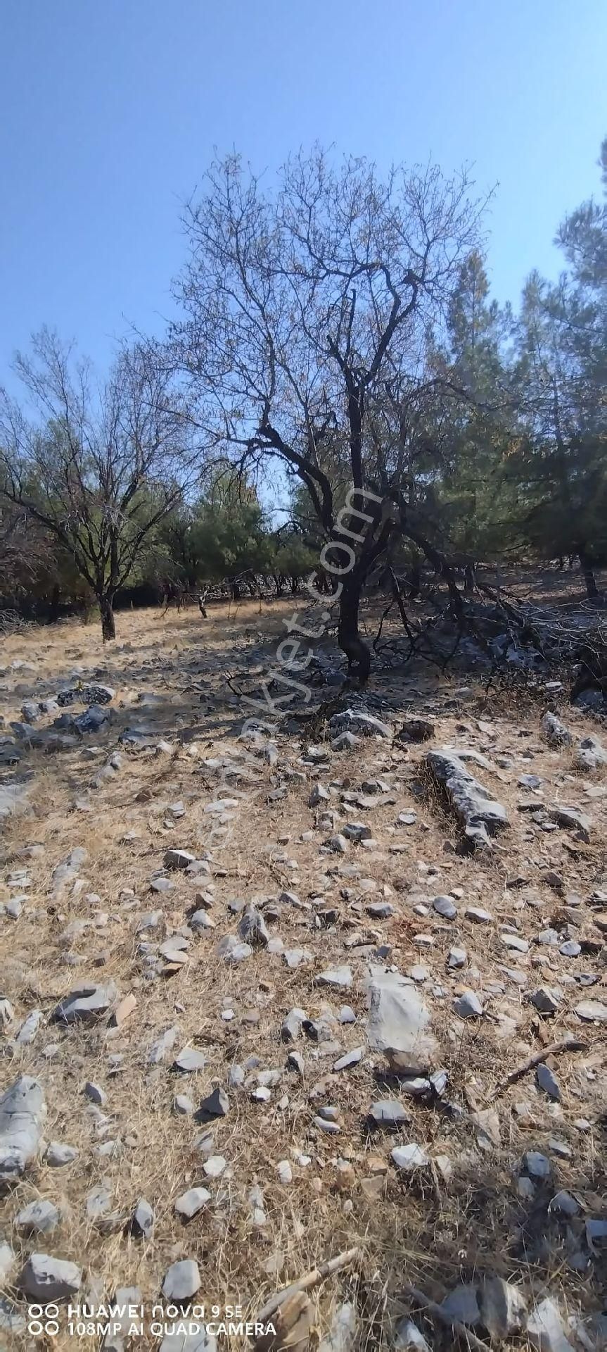 Menteşe Denizova Satılık Tarla Selda Kozalı'dan Denizova Satılık Tarla