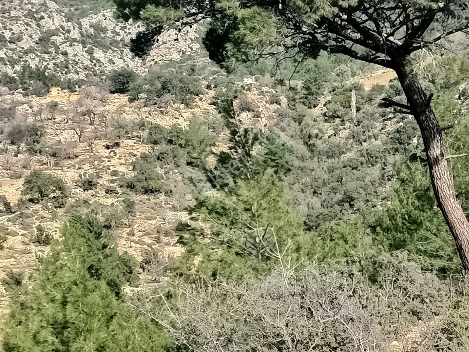 Aydıncık Emlaktan Satılık Tarla - Görsel 2