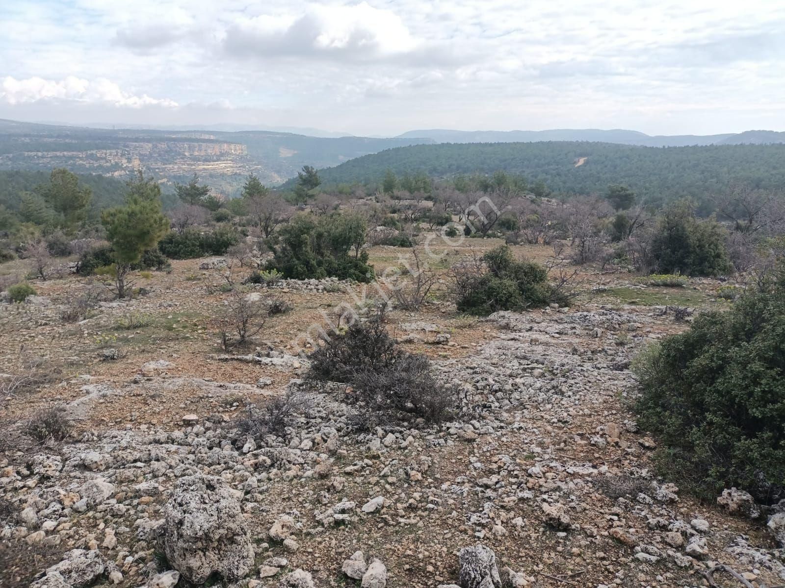 Aydıncık Emlaktan Satılık Tarla - Görsel 5