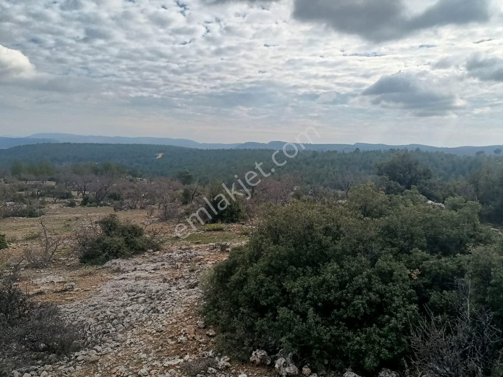 Aydıncık Emlaktan Satılık Tarla - Görsel 8