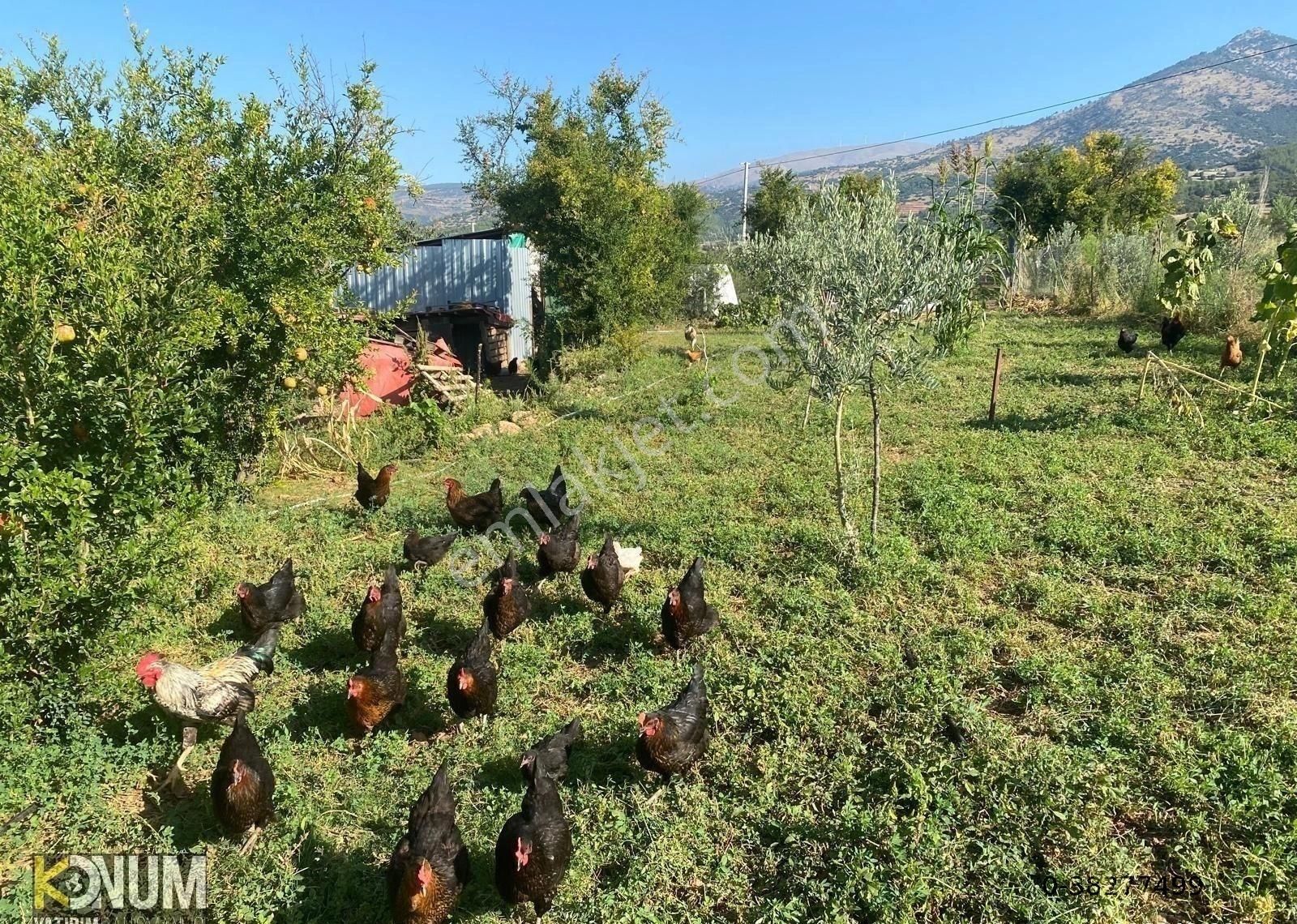 Tavas Seki Satılık Tarla Tavas Sekide 2,800 M2 Anayol Üstü Elektrik Ve Su Abonelikleri Bulunan Tarla