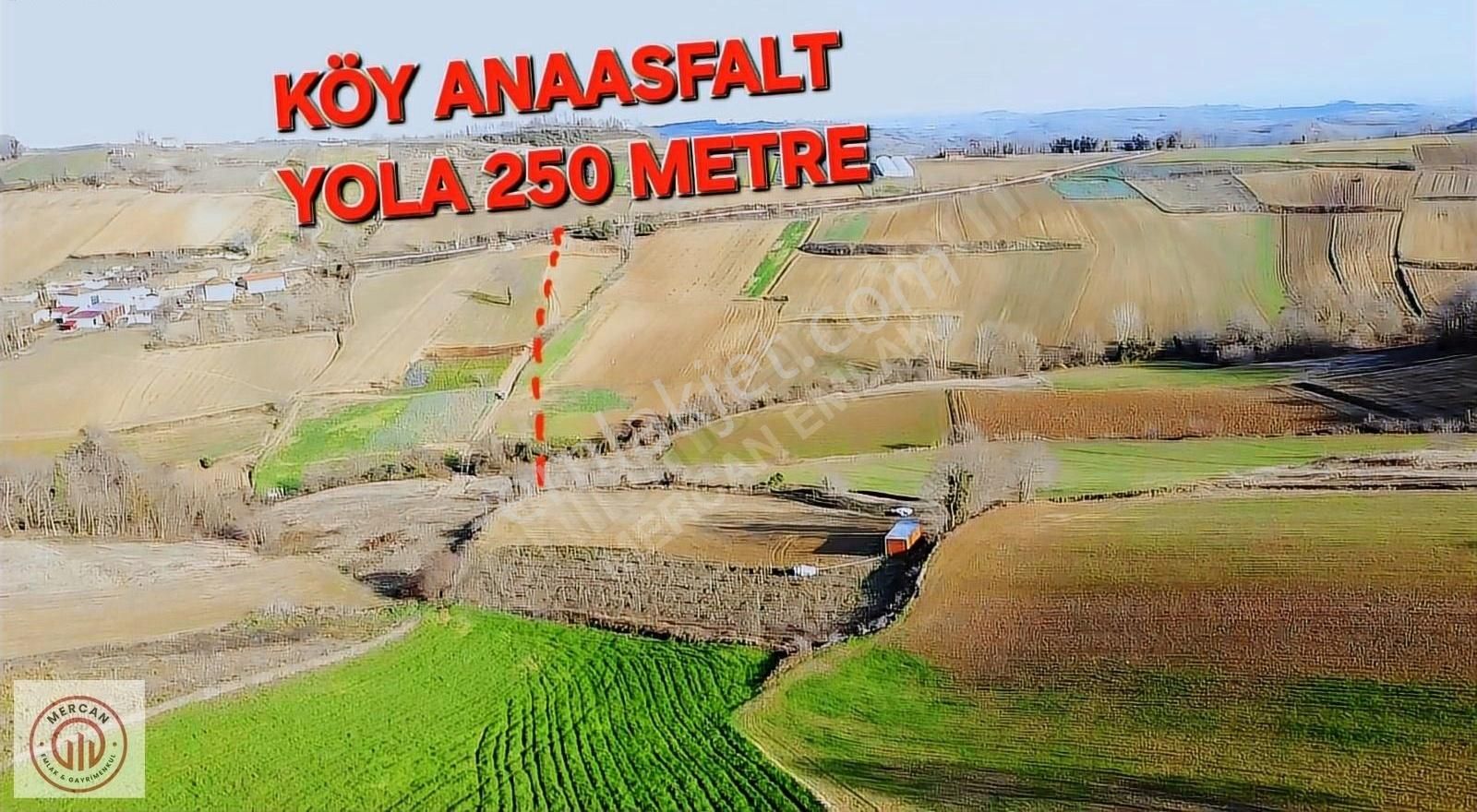 Kandıra Pelitpınarı Satılık Konut İmarlı Kandıra Pelitpınarda 4487 M2 % 5 İmarlı Zirvede Ceviz Bahçesi