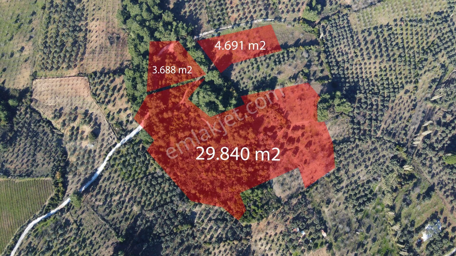 Selçuk Gökçealan Satılık Bağ & Bahçe İzmir Gökçealan'da Satılık 4.692 M2 İncir Bahçesi