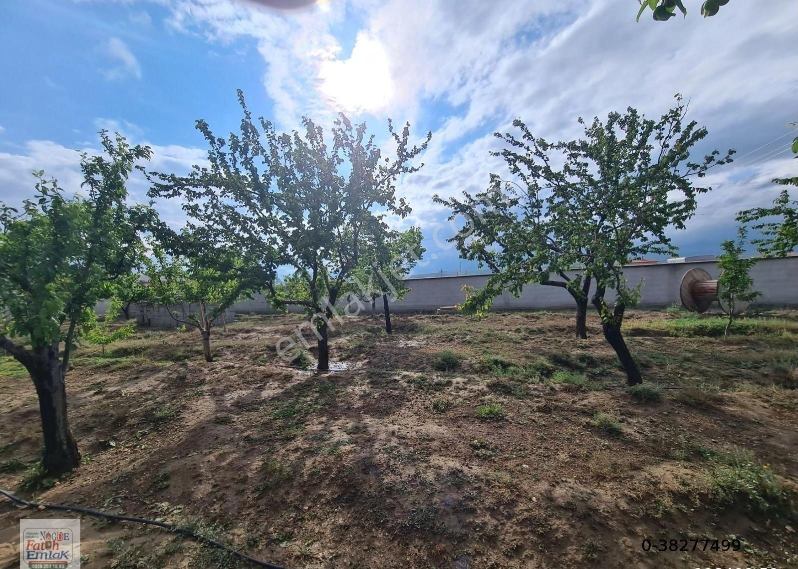 Niğde Merkez Aktaş Bld. (Yeni) Satılık Tarla Aktaş Yenide 1100 M2 Ender Satılık Bahçe