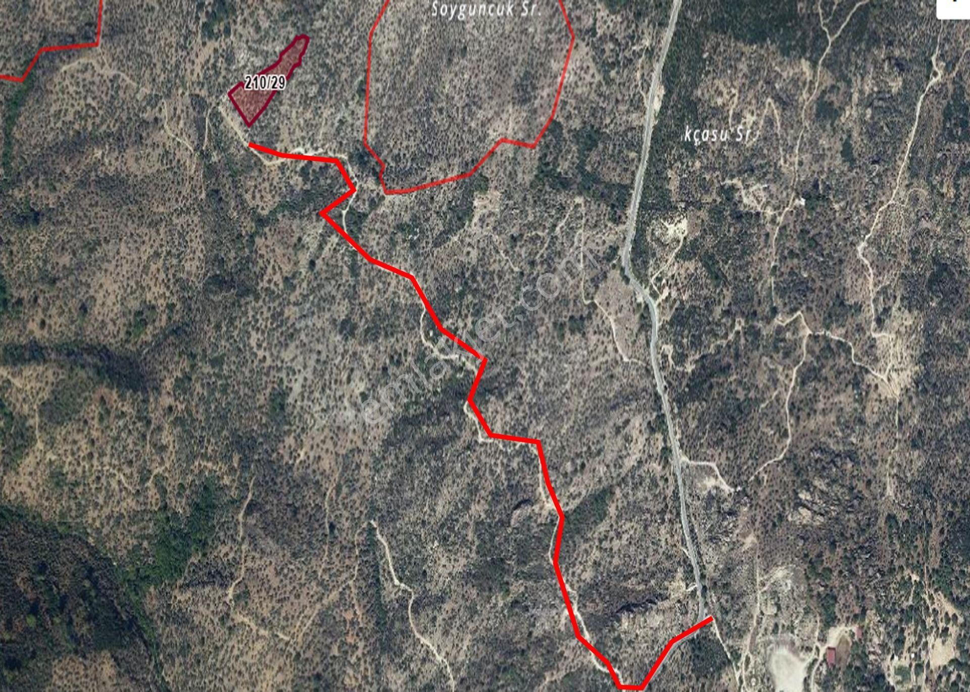 Muğla Milas Satılık Zeytinlik Milas Çomakdağ Kızılağaç 5875 M2 Yolu Açık Olan Zeytinlik