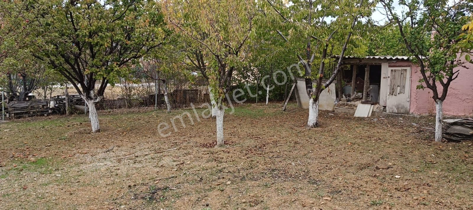 Elmadağ Hasanoğlan Havuzbaşı Satılık Daire 688 M2 Arsa İçerisinde Meyve Ağaçları Ve 3+1 130 M2 Müstakil Daire