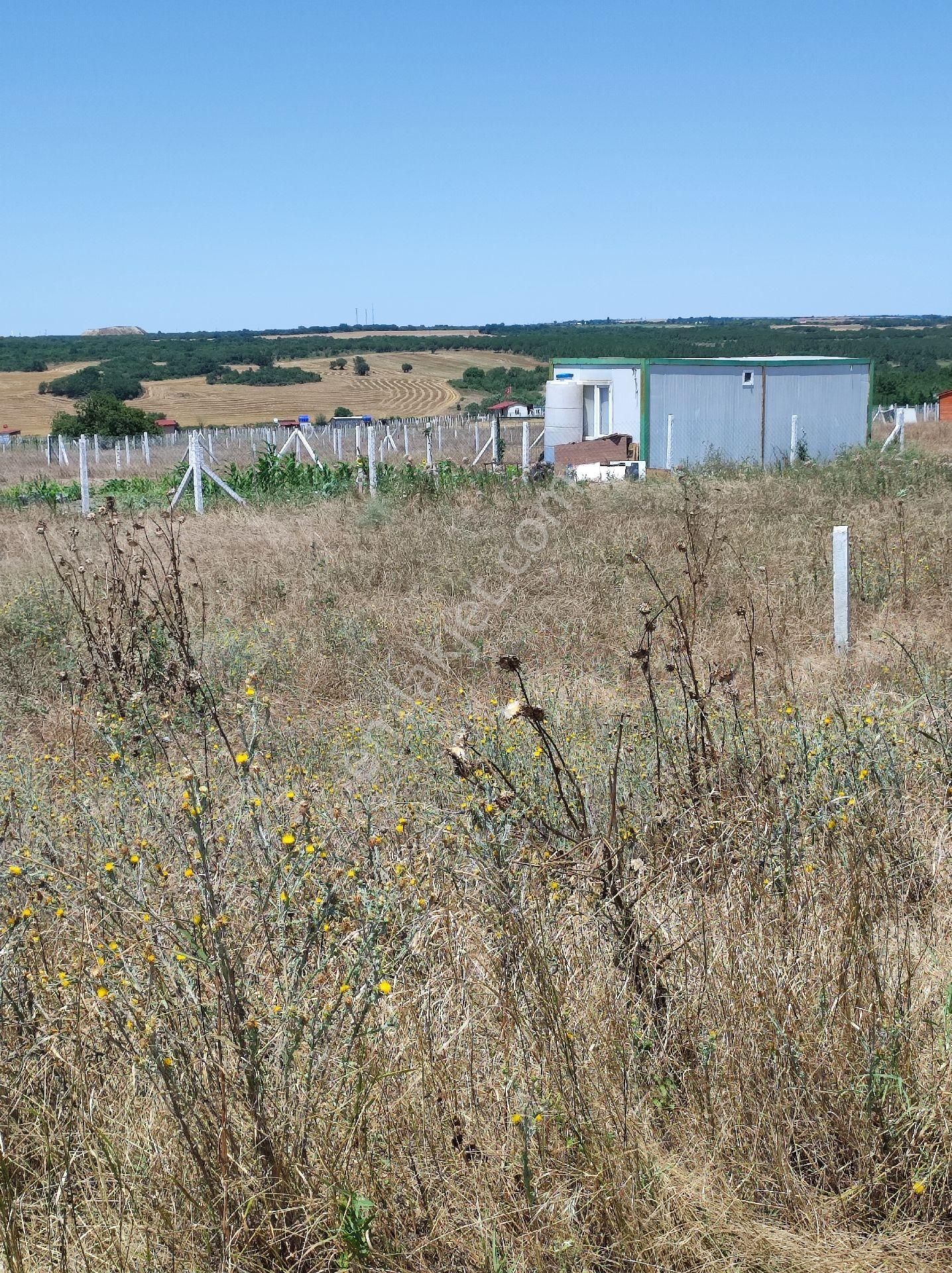 Silivri De Muhteşem Göl Manzaralı İmarlı İfrazlı Net 265 M² Arsa - Görsel 13