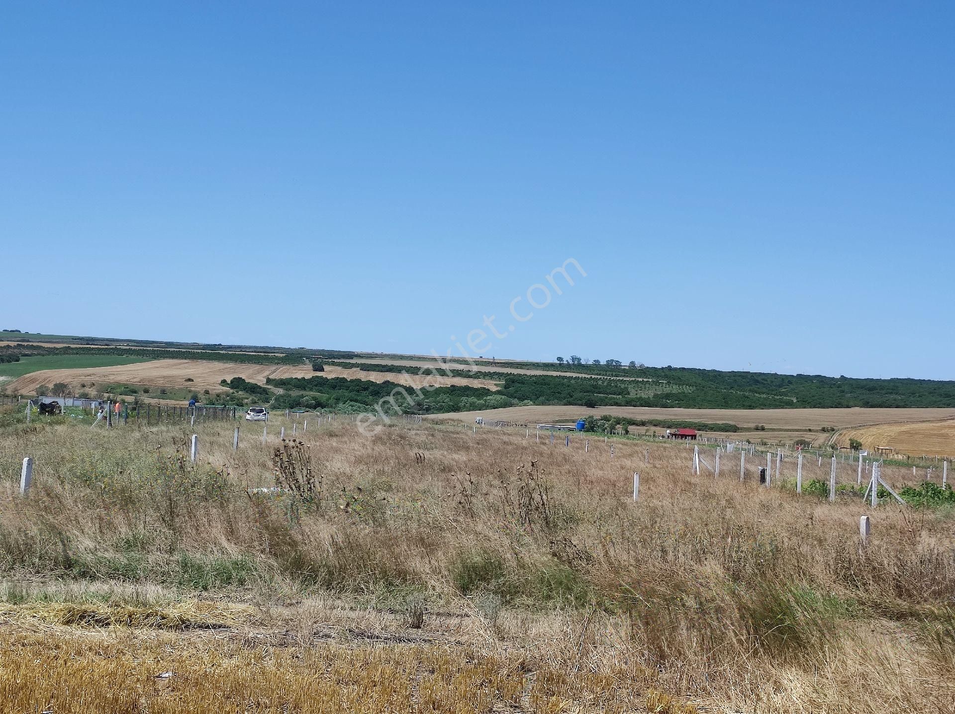 Silivri De Muhteşem Göl Manzaralı İmarlı İfrazlı Net 265 M² Arsa - Görsel 12