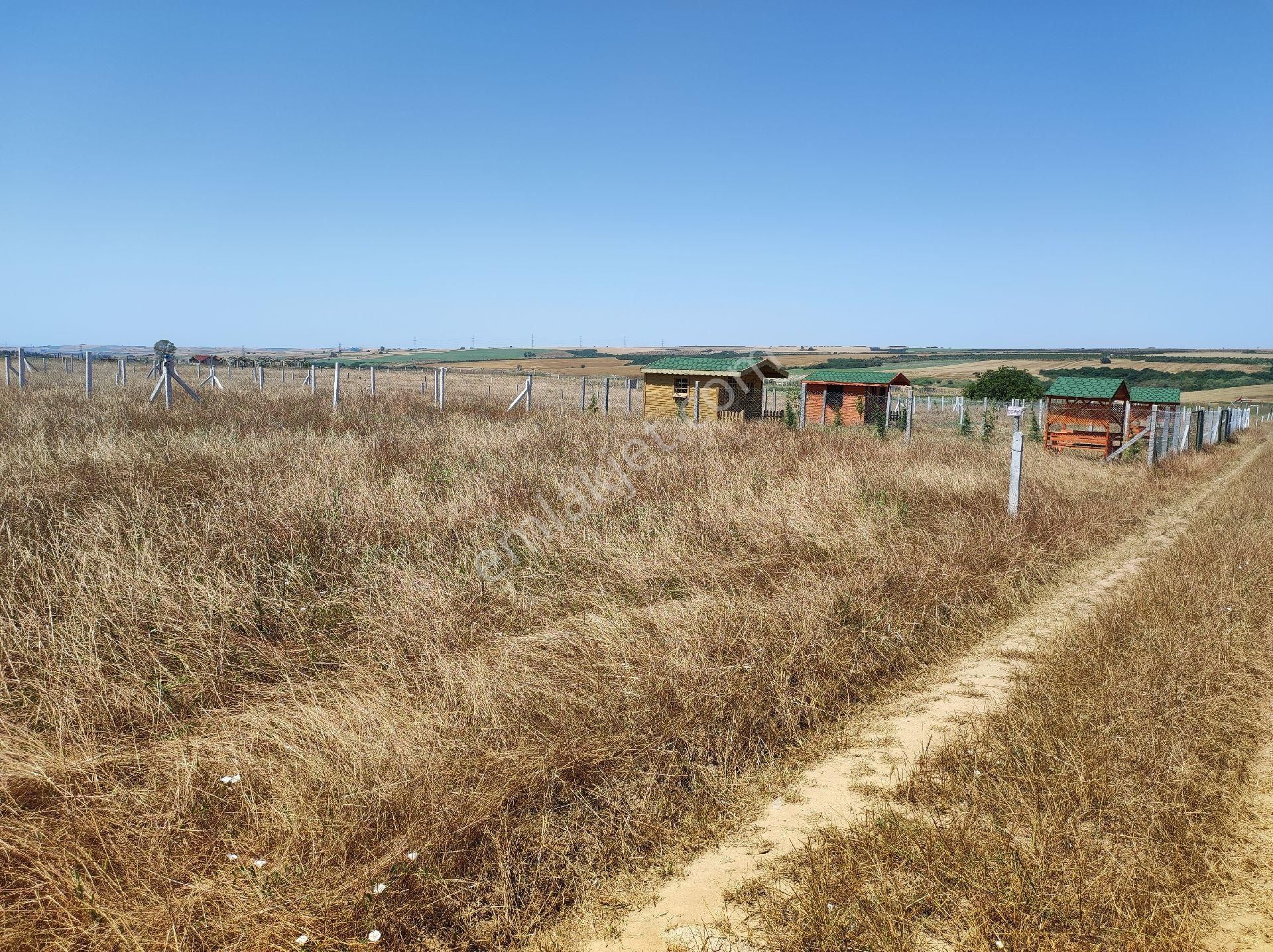 Silivri De Muhteşem Göl Manzaralı İmarlı İfrazlı Net 265 M² Arsa - Görsel 14