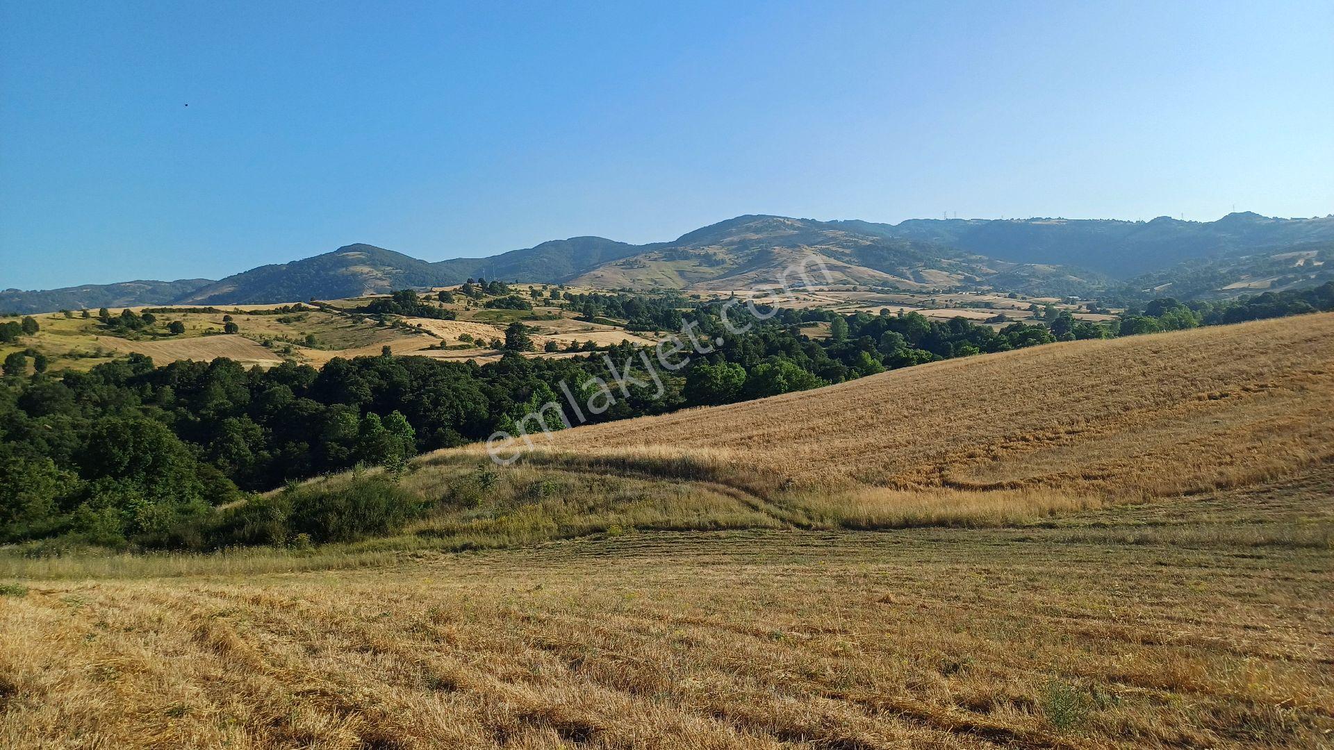Kocaeli Karamürsel Kızderbent Satılık %5 İmarlı 2188 M2 Tarla - Görsel 5
