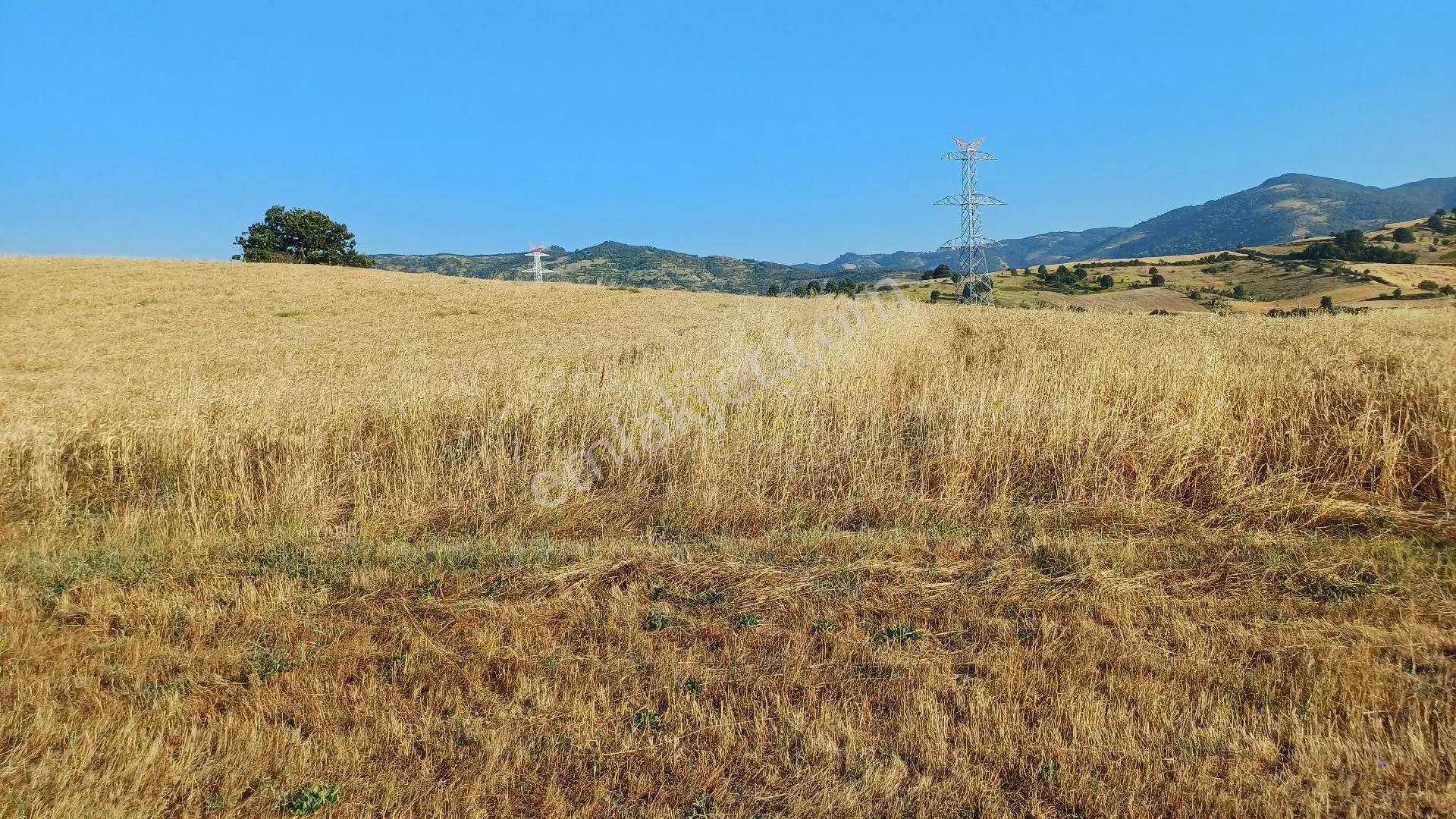 Kocaeli Karamürsel Kızderbent Satılık %5 İmarlı 2188 M2 Tarla - Görsel 3