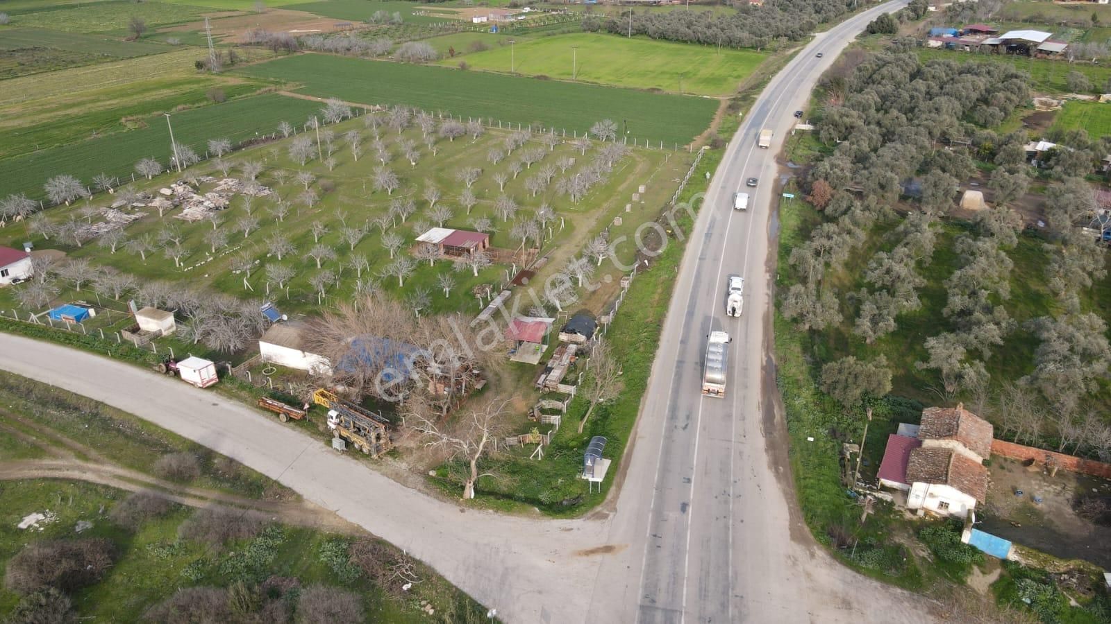 Tire Kireli Satılık Tarla Hayallerinizin Projesi İçin Anayolda, Kupon Yer Yatırım Fırsatı!