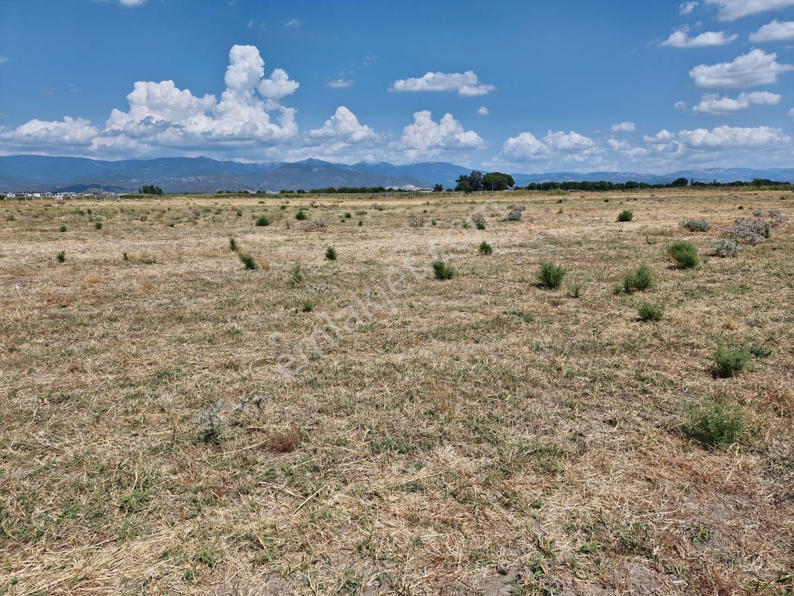 Burhaniye Çoruk Satılık Konut İmarlı Burhaniyede Denize Yakın 351 M2 Yatırıma Uygun Satılık Arsa!