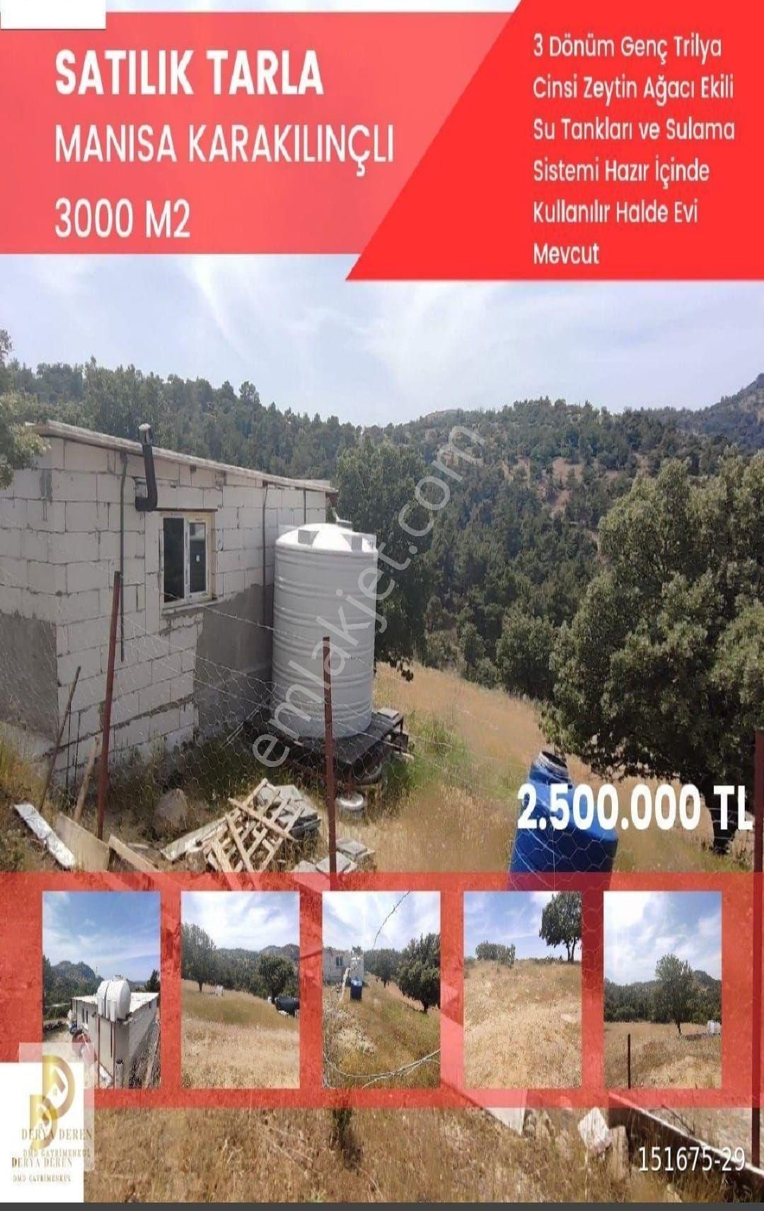 Yunusemre Karakılıçlı Satılık Tarla Satılık Zeytinlik 3000 M2 Manisa Yunusemre Karakiılınçlı