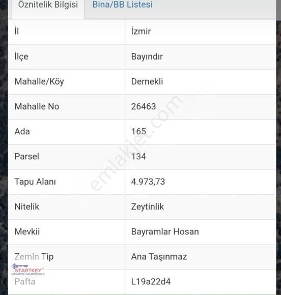 İzmir Bayındır Satılık Zeytinlik Bayındır Derneklı De Satılık Zeytinlik