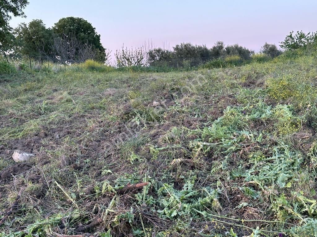 Çanakkale Merkez Özbek Köyün'de Deniz Manzaralı Satılık Tarla - Görsel 5