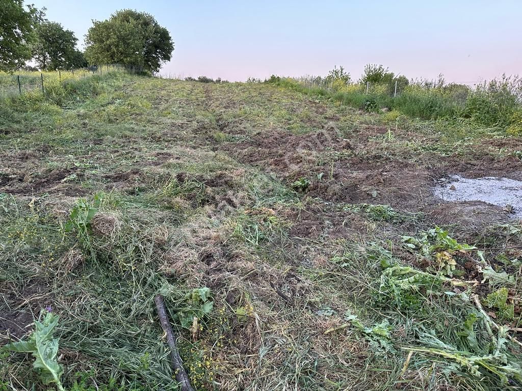 Çanakkale Merkez Özbek Köyün'de Deniz Manzaralı Satılık Tarla - Görsel 2