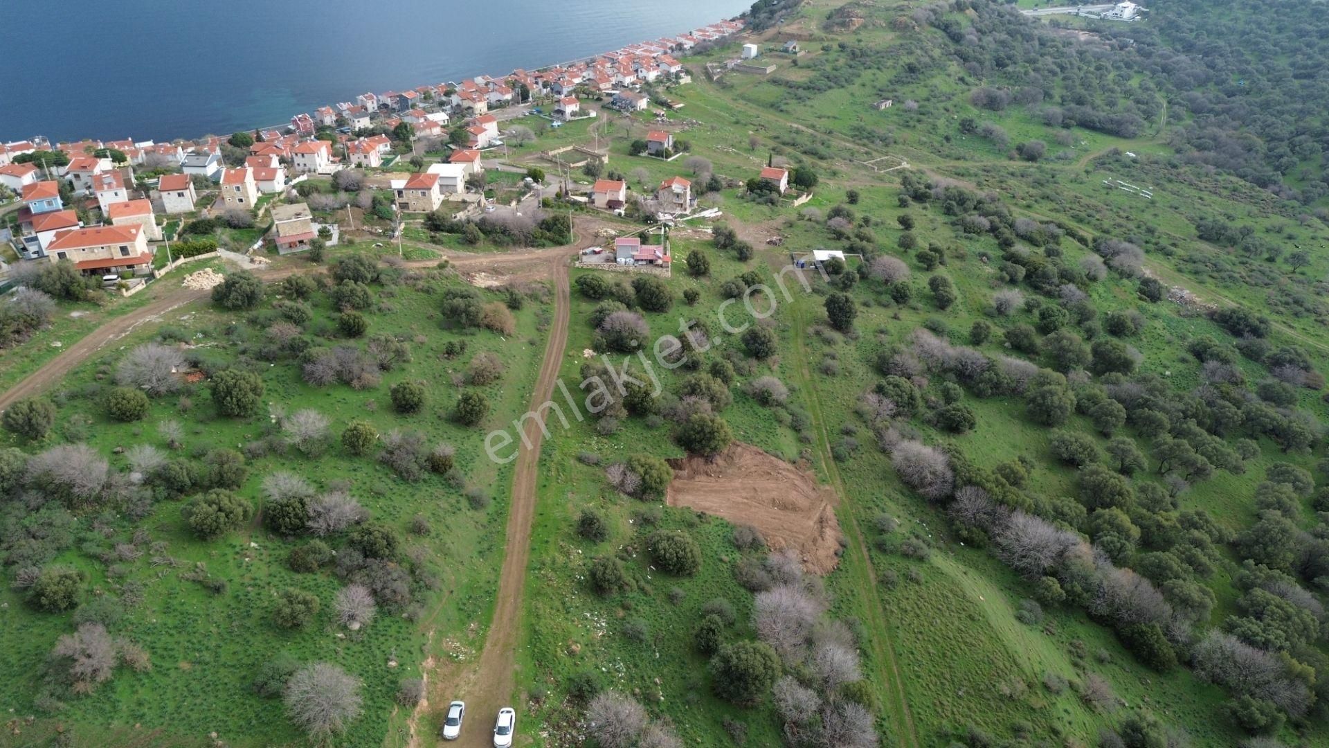 Turyap Foça'dan Denize Yakın Konumda Satılık Arsa - Görsel 3