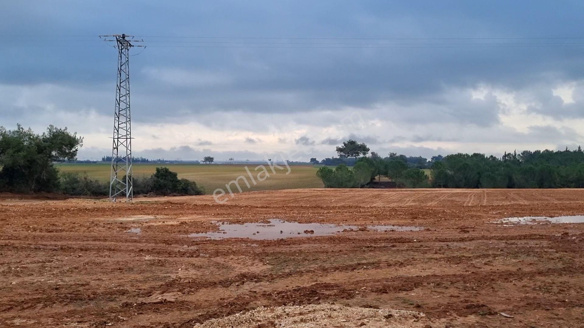 Sarıçam Mustafalar Satılık Tarla Adana Sarıçam Mustafalar Bölgesinde Kozan Yoluna 2km Mesafede 25 Dönüm Tek Tapu Tarla