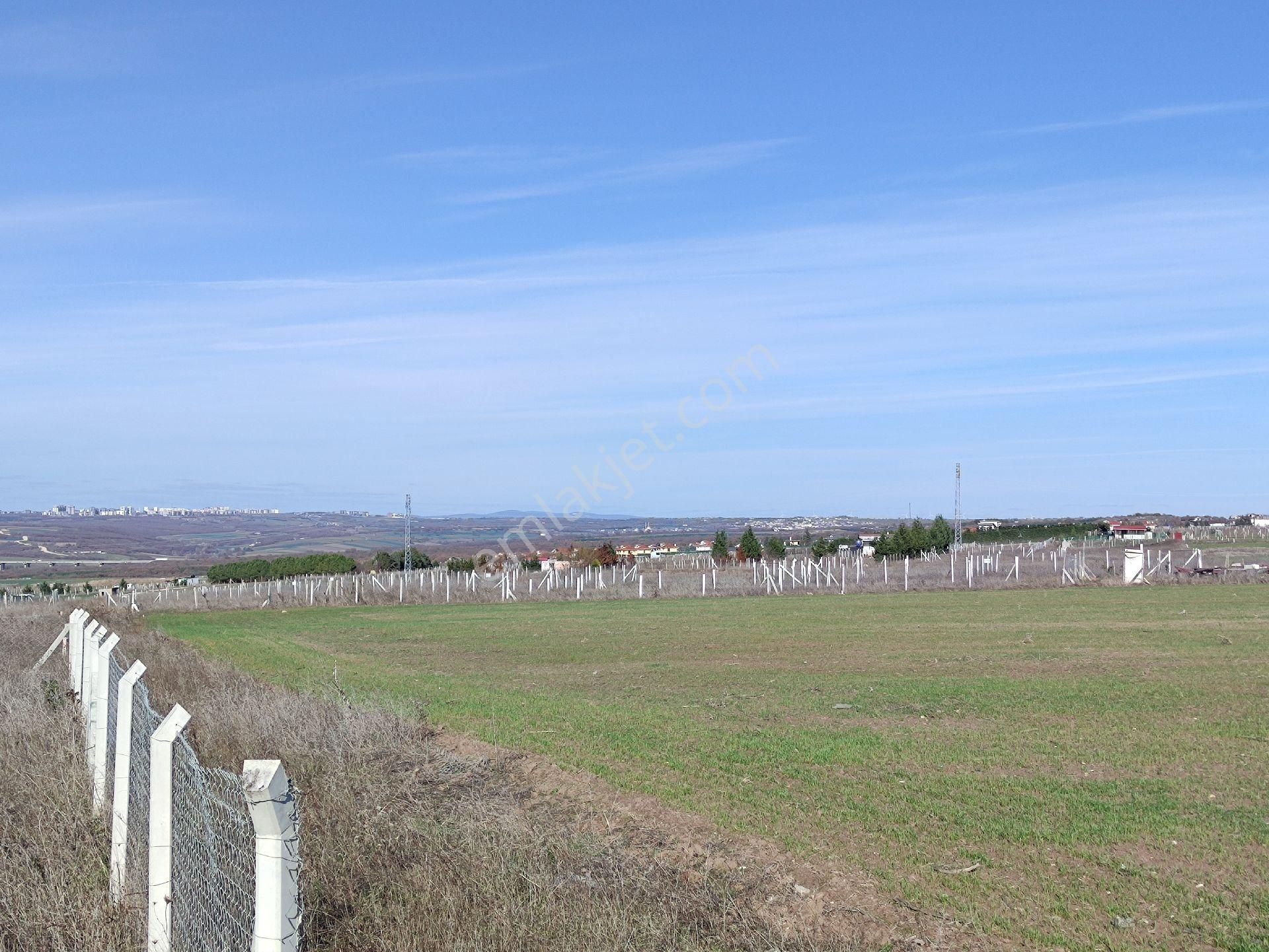 Silivri Balaban Mahallesinde İmarlı İfrazlı Acil Satılık 260 Metre Arsa - Görsel 5