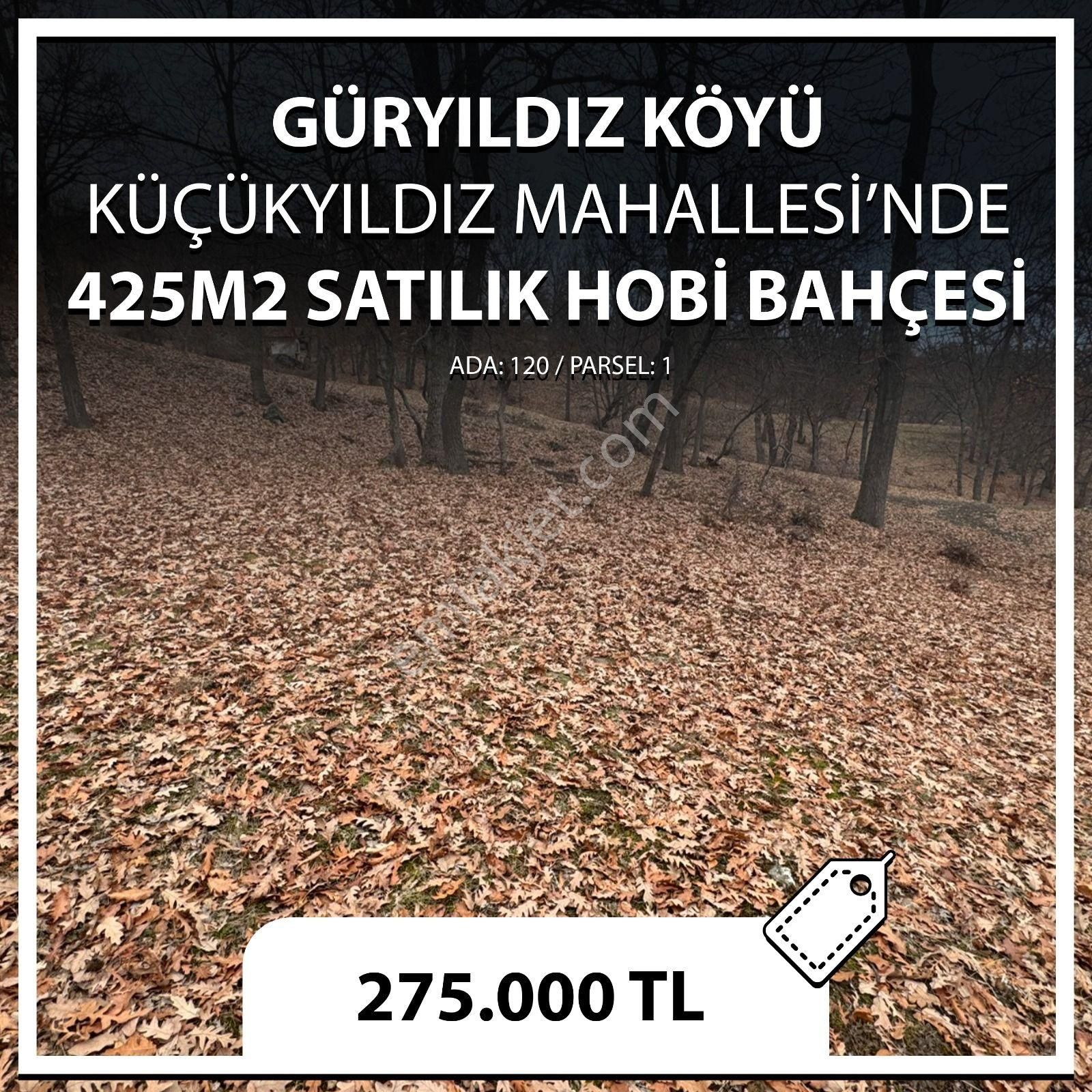 Tokat Merkez Güryıldız Bld. (Küçükyıldız) Satılık Arazi Güryıldız / Küçükyıldız Yaylasında Piknik Alanı Yanında 425m2