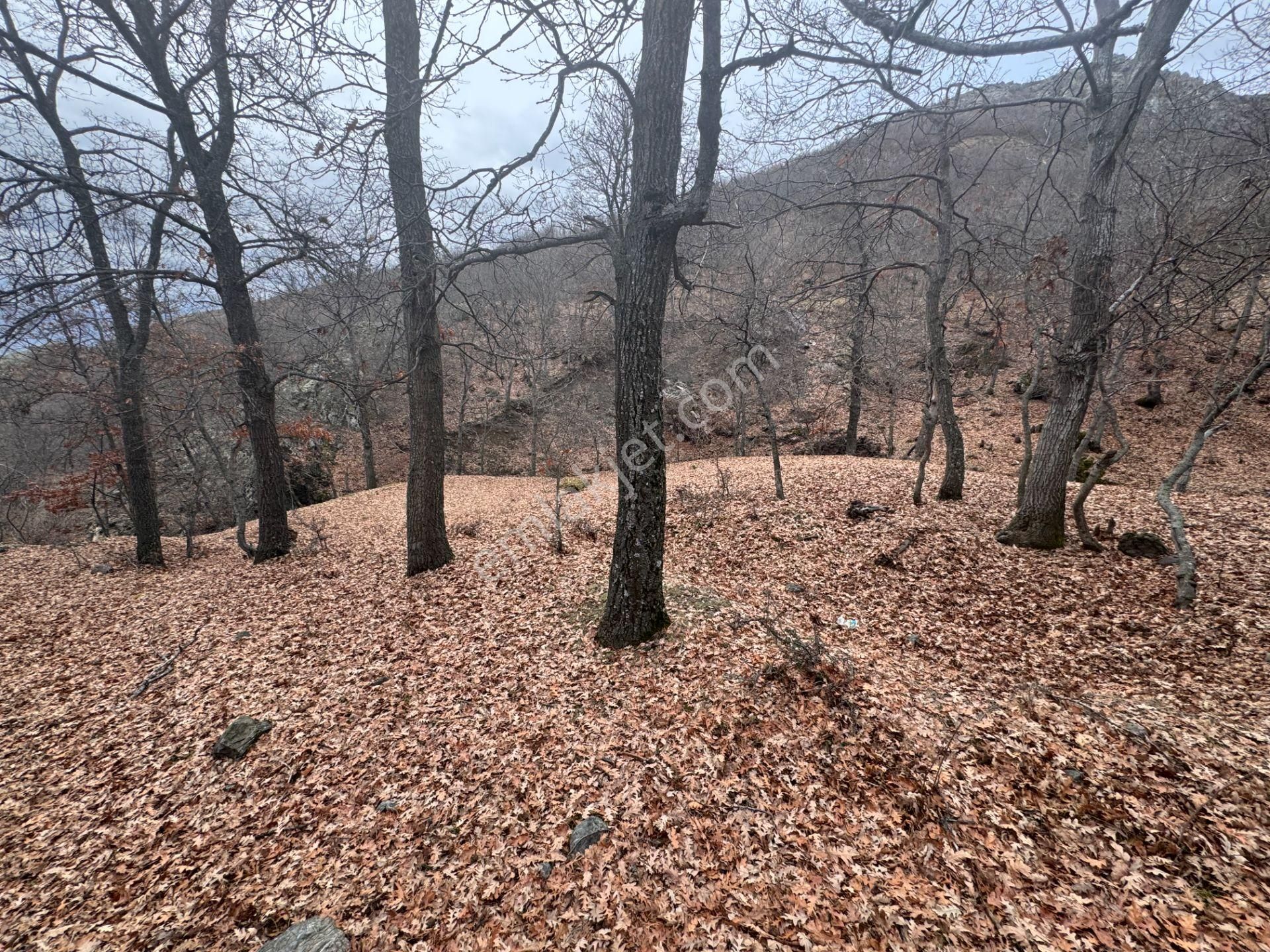 Tek Tapulu Küçükyıldız Yaylasında Piknik Alanı Yanında 425m2 - Görsel 8