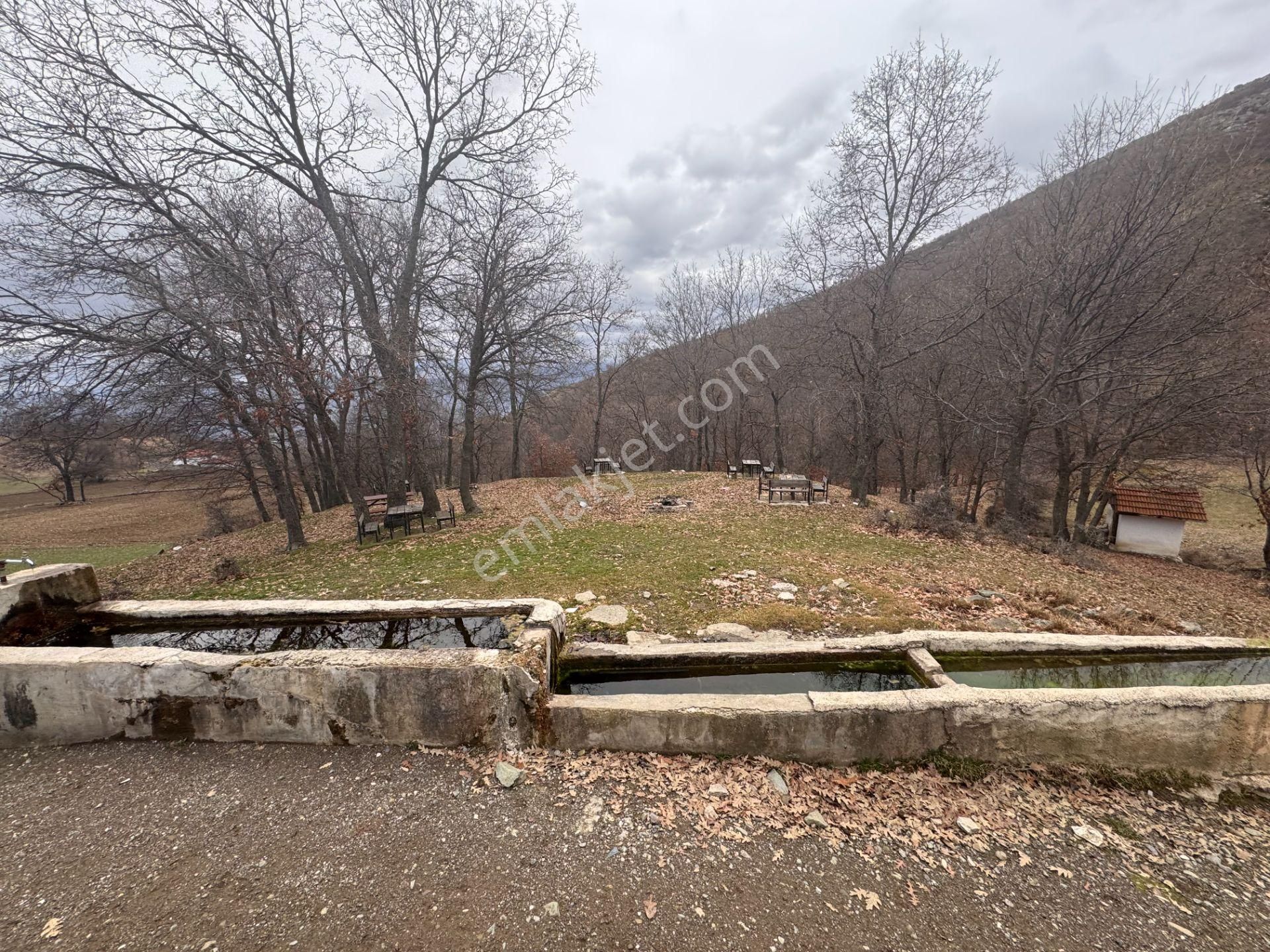 Güryıldız / Küçükyıldız Yaylasında Piknik Alanı Yanında 425m2