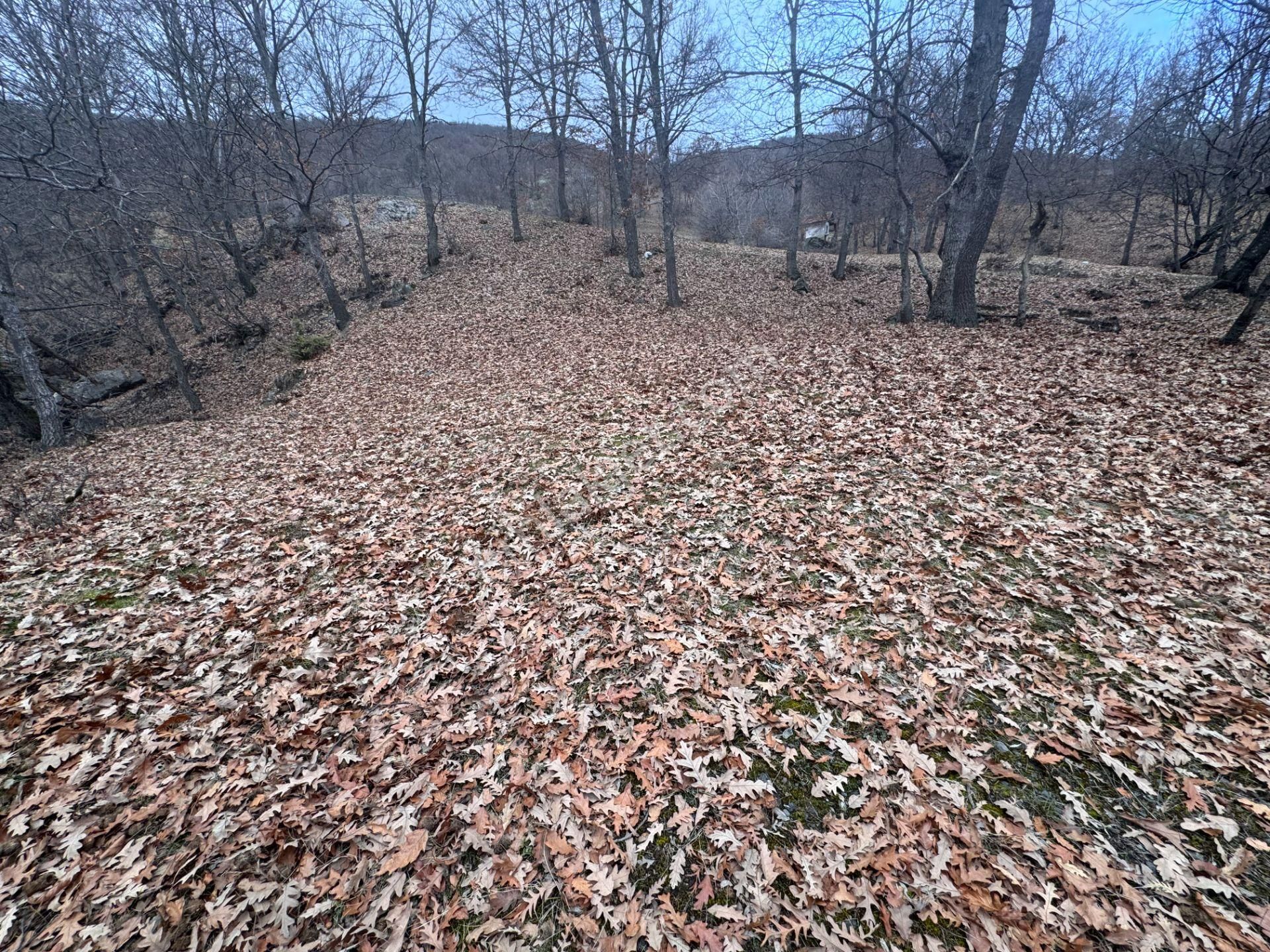 Tek Tapulu Küçükyıldız Yaylasında Piknik Alanı Yanında 425m2 - Görsel 4