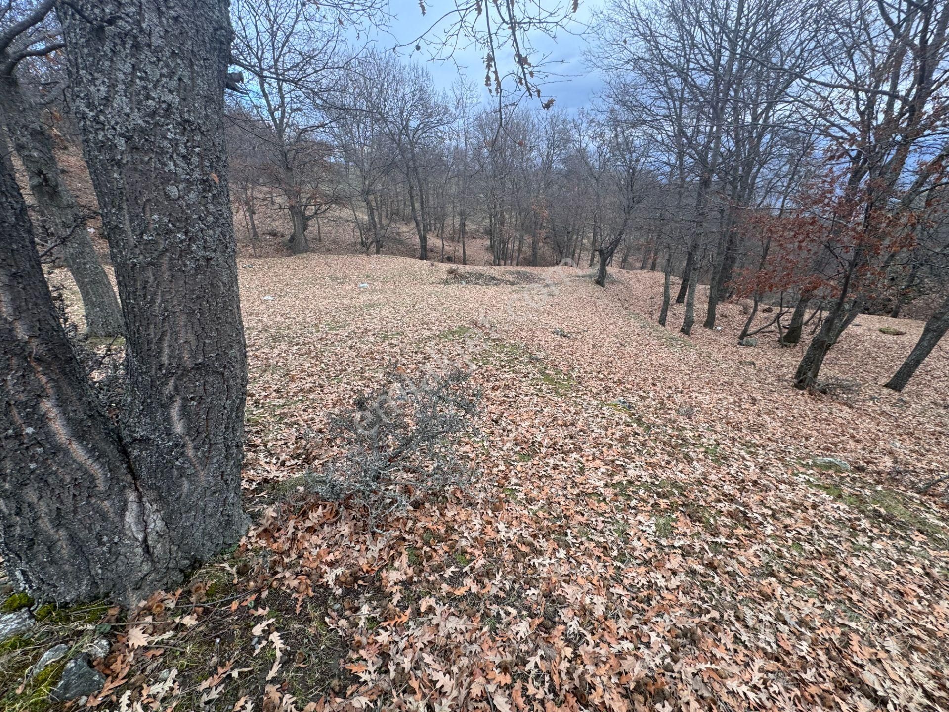 Tek Tapulu Küçükyıldız Yaylasında Piknik Alanı Yanında 425m2 - Görsel 3