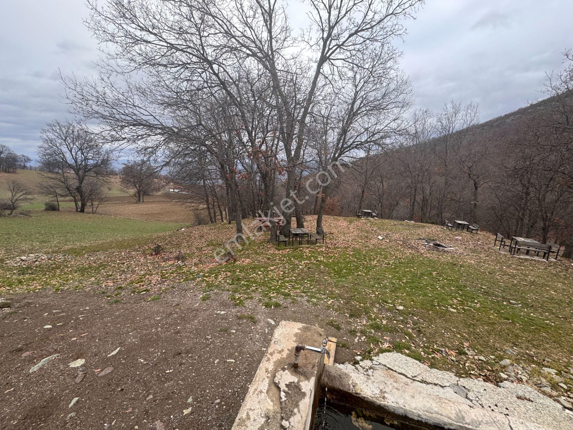 Tek Tapulu Küçükyıldız Yaylasında Piknik Alanı Yanında 425m2 - Görsel 11