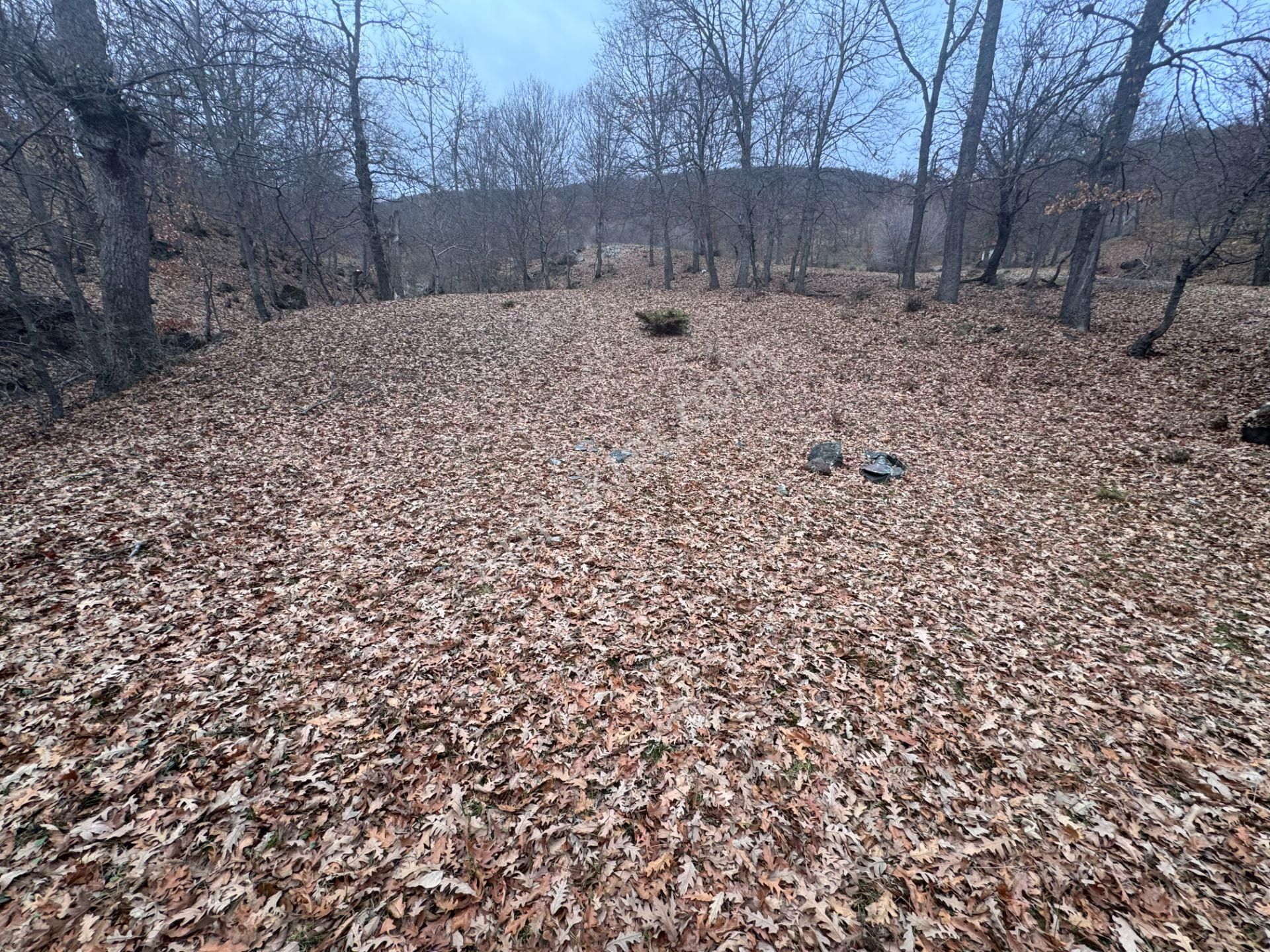 Tek Tapulu Küçükyıldız Yaylasında Piknik Alanı Yanında 425m2 - Görsel 7