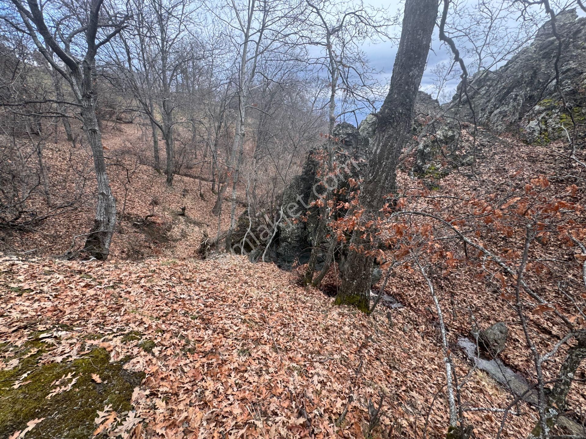 Tek Tapulu Küçükyıldız Yaylasında Piknik Alanı Yanında 425m2 - Görsel 6