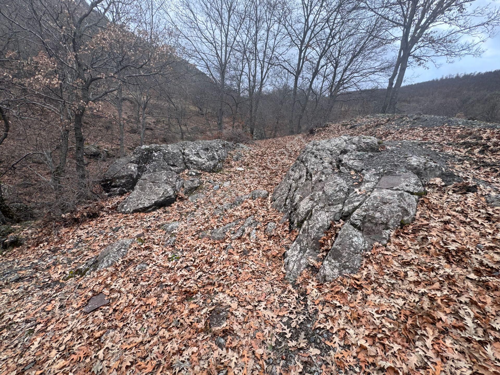 Tek Tapulu Küçükyıldız Yaylasında Piknik Alanı Yanında 425m2 - Görsel 9