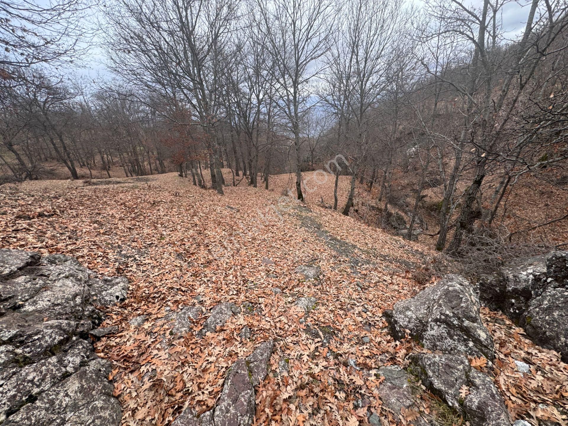 Tek Tapulu Küçükyıldız Yaylasında Piknik Alanı Yanında 425m2 - Görsel 10
