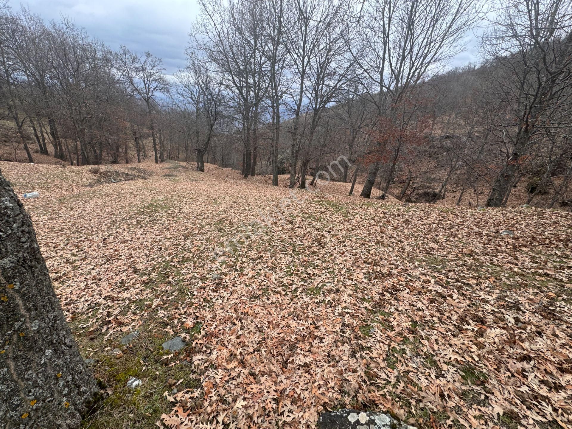 Tek Tapulu Küçükyıldız Yaylasında Piknik Alanı Yanında 425m2 - Görsel 2