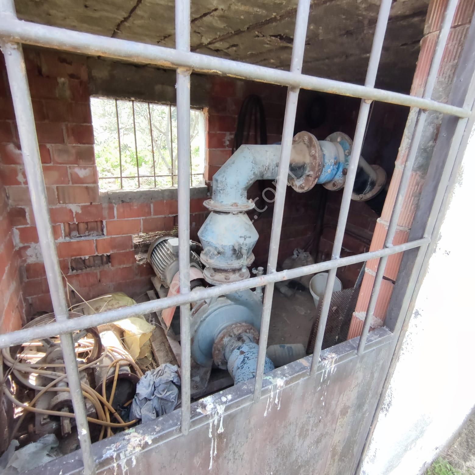 Nazilli Ege Emlak Ofisinden Kuyucak Yamalak Mah.satılık Zeytin Bahçesi - Görsel 17