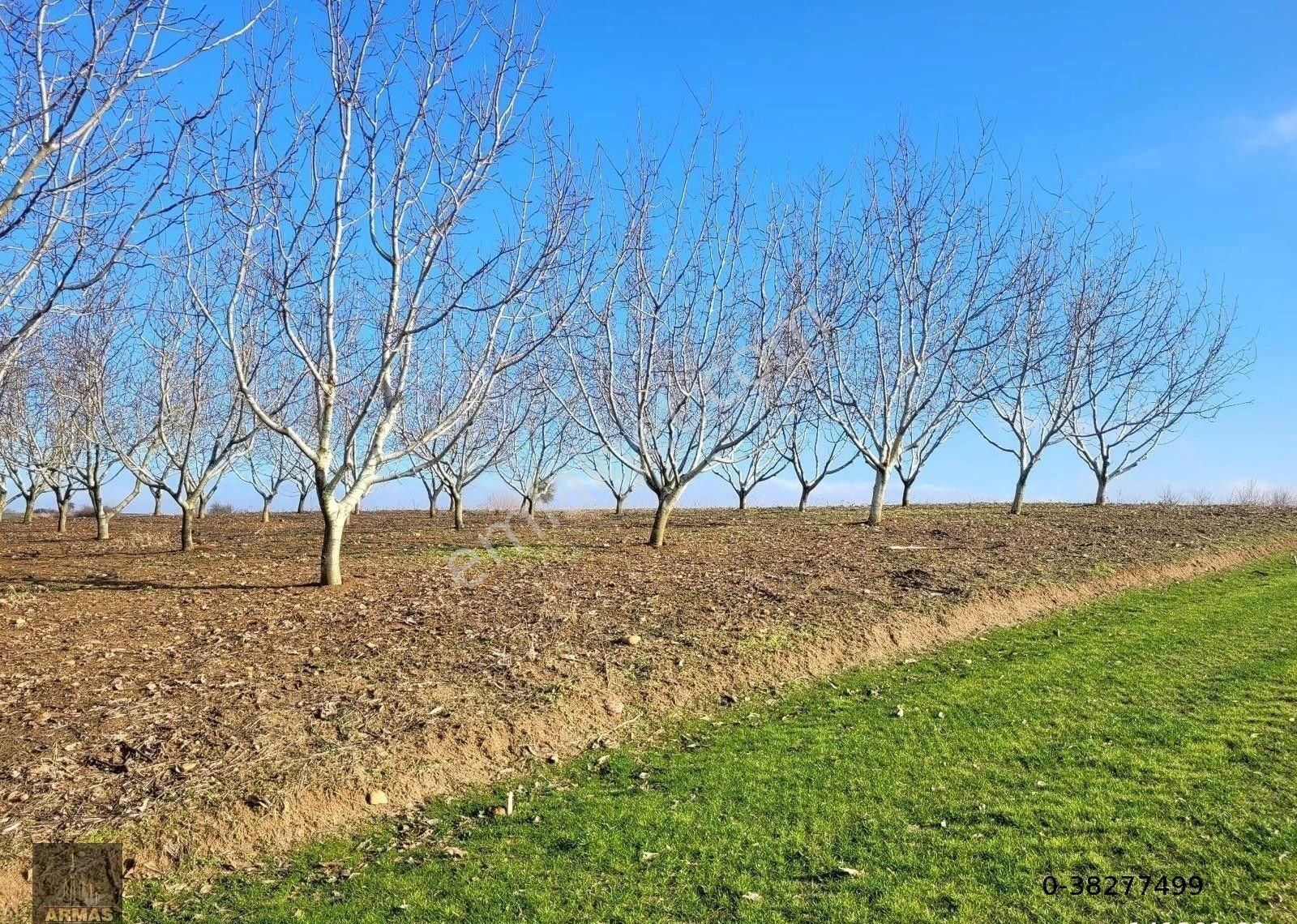 Tekirdağ Süleymanpaşa Satılık Bağ & Bahçe Satlık Bahçe Bıyıkalıde Gölet Manzaralı 2.150 M2