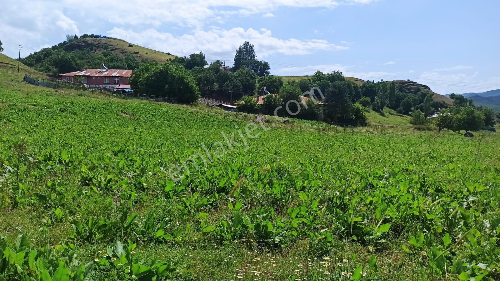 Tunceli Merkez İsmet İnönü Satılık Konut İmarlı Tunceli Merkez İsmet İnönü Mah Alt Yapısı Hazır Arsa