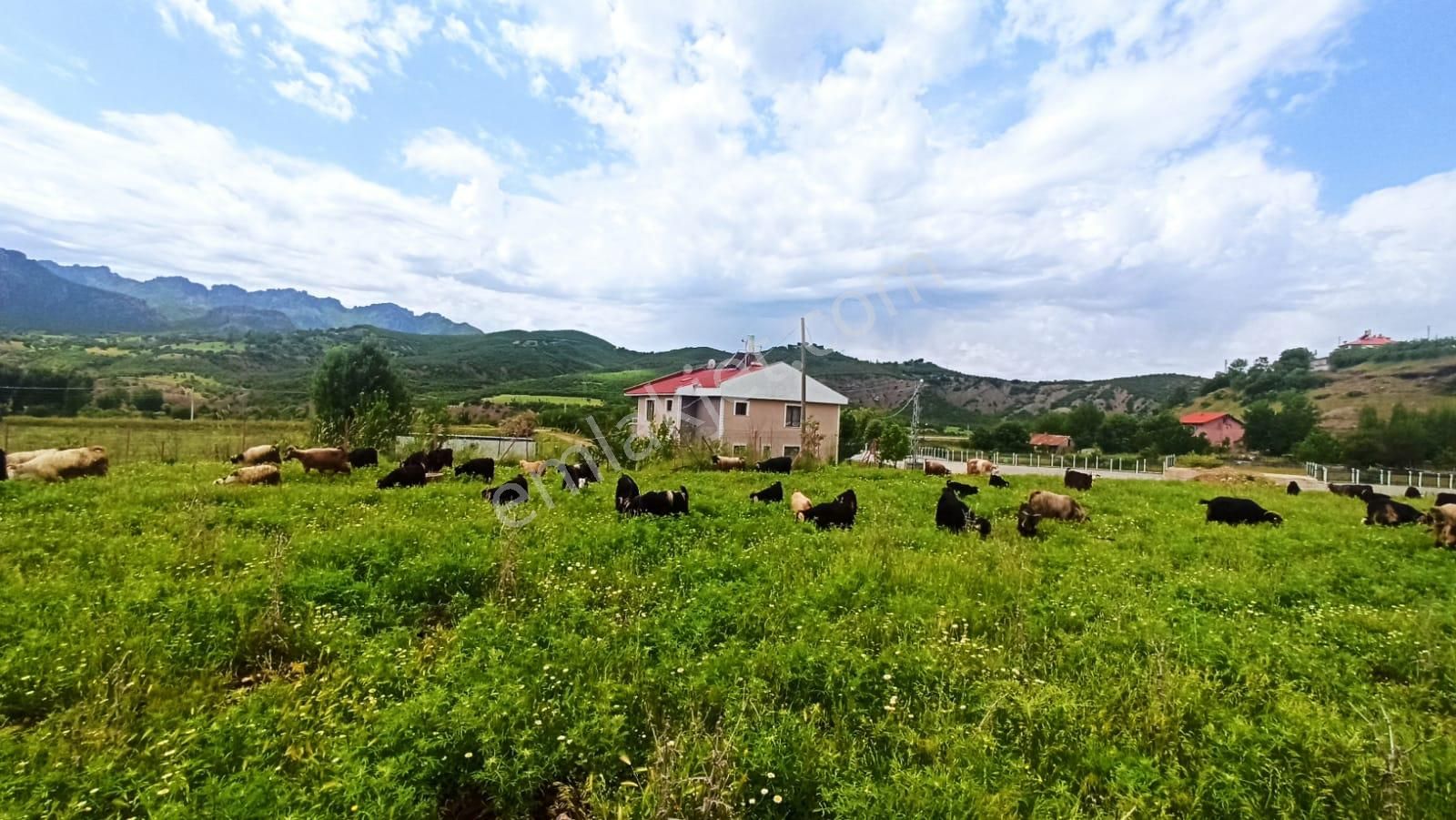 Tunceli Merkez İsmet İnönü Satılık Konut İmarlı Tunceli Merkez İsmet İnönü Mah Alt Yapısı Hazır İmarlı Arsa