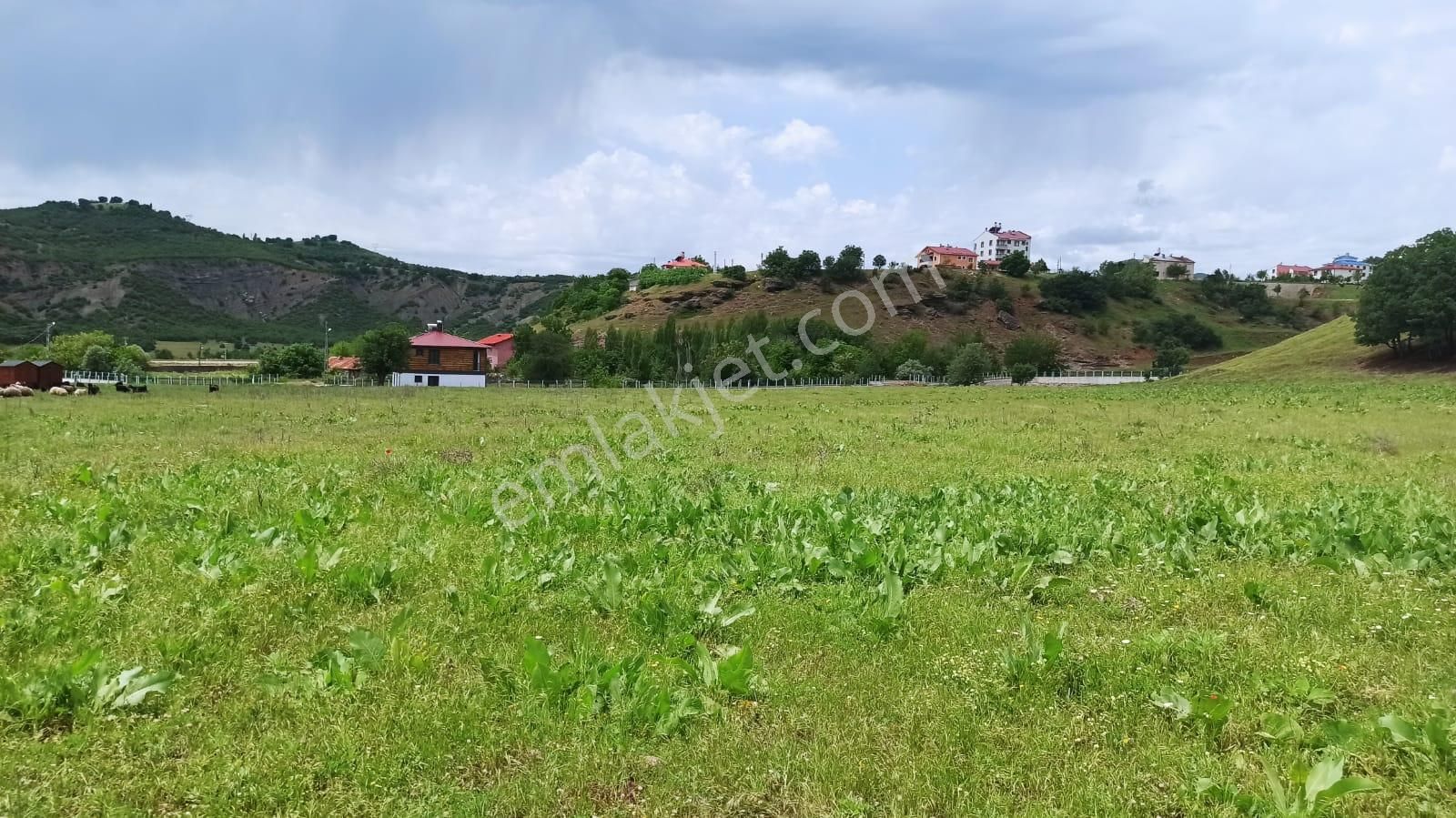 Tunceli Merkez İsmet İnönü Satılık Muhtelif Arsa Tunceli Merkez İsmet İnönü Satılık Arsa