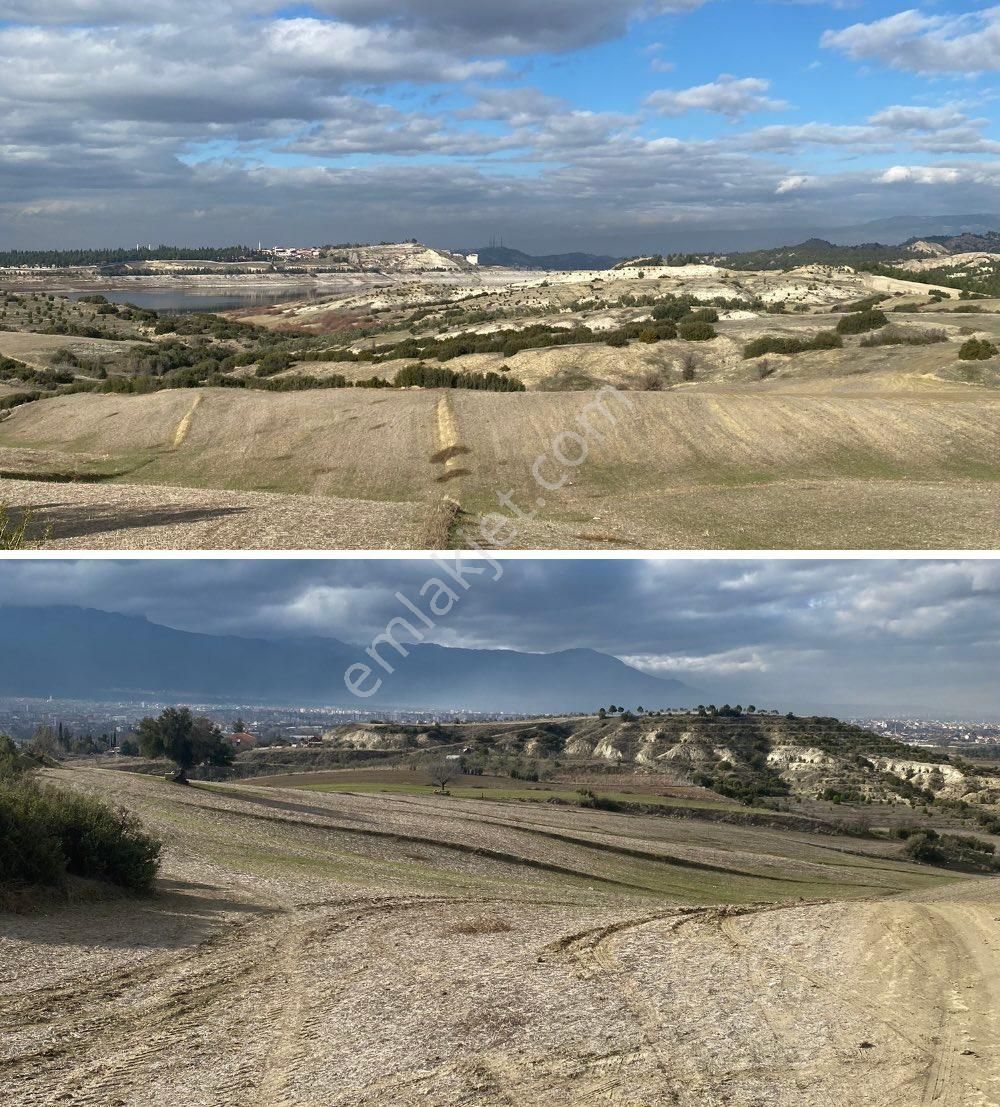 Pamukkale Fesleğen Satılık Tarla Güclü Yatirim Farkiyla Denizli Karakurtta Satilik Tarla